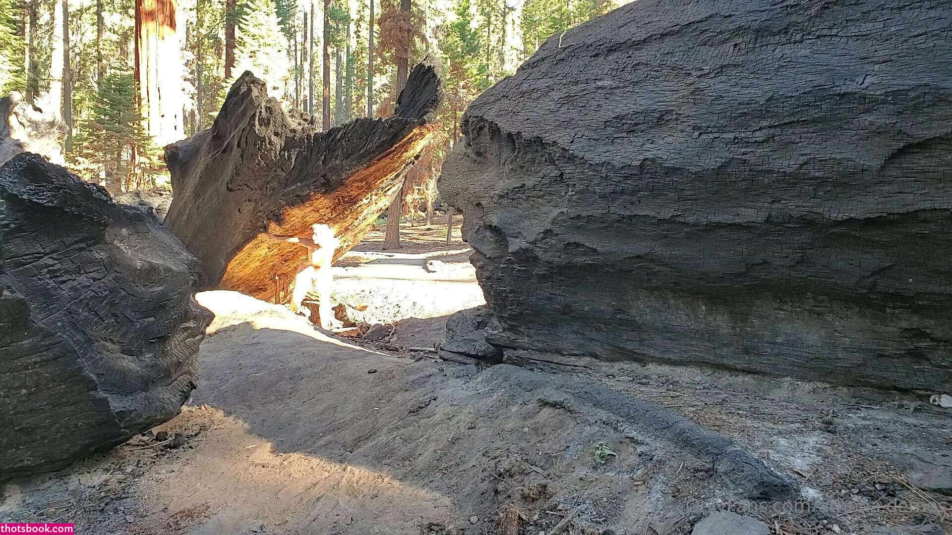 Athena Demos Aunt Athena Nude OnlyFans Photos #13 1178370