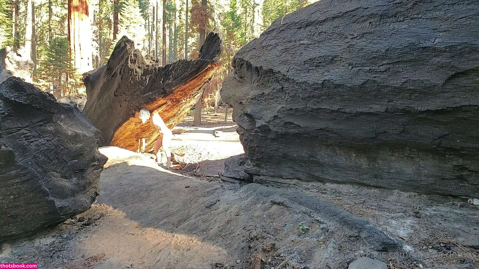 Athena Demos Aunt Athena Nude OnlyFans Photos #13 1178374