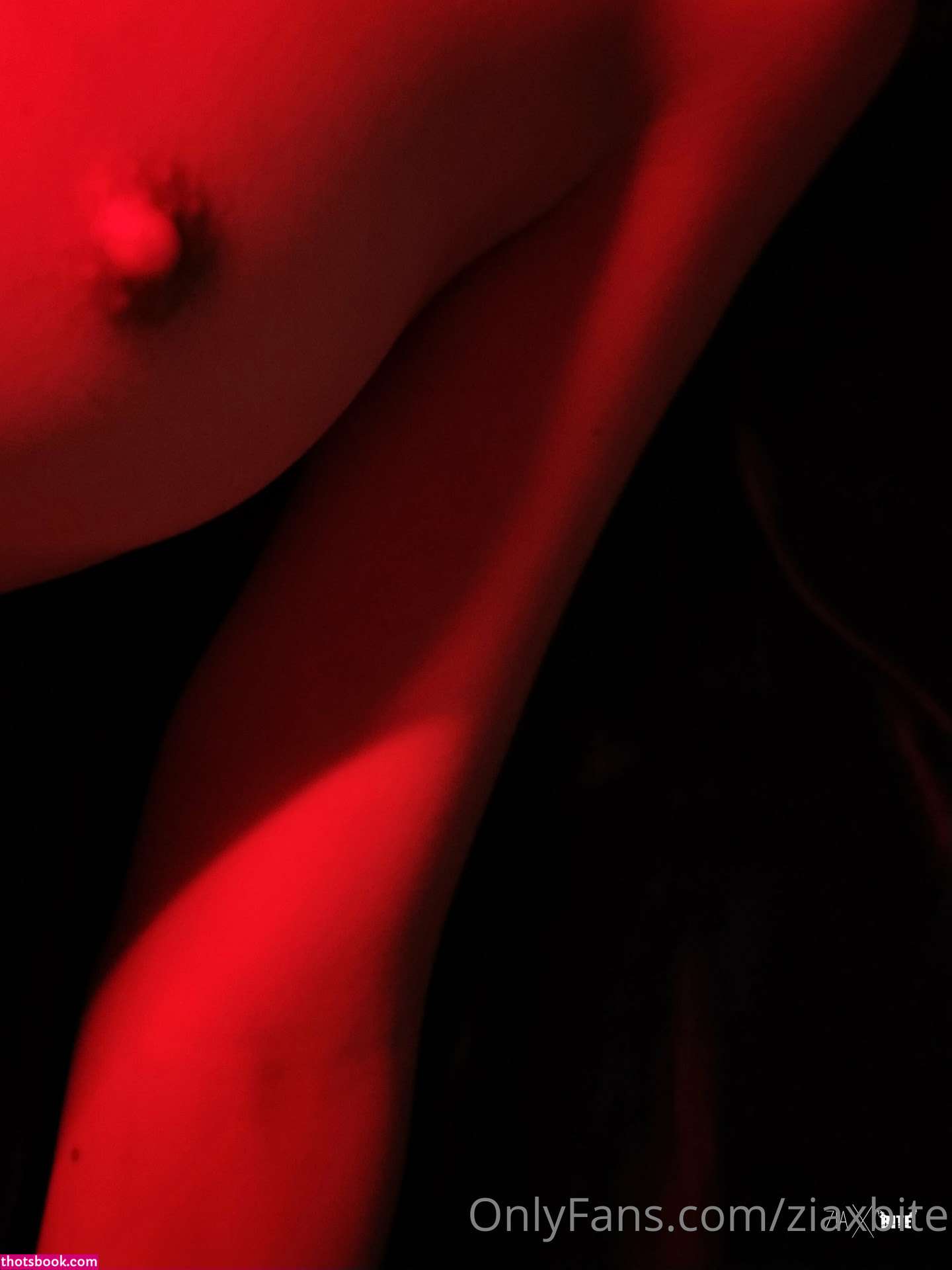 Ziaxbite Nude OnlyFans Photos #9 1107793