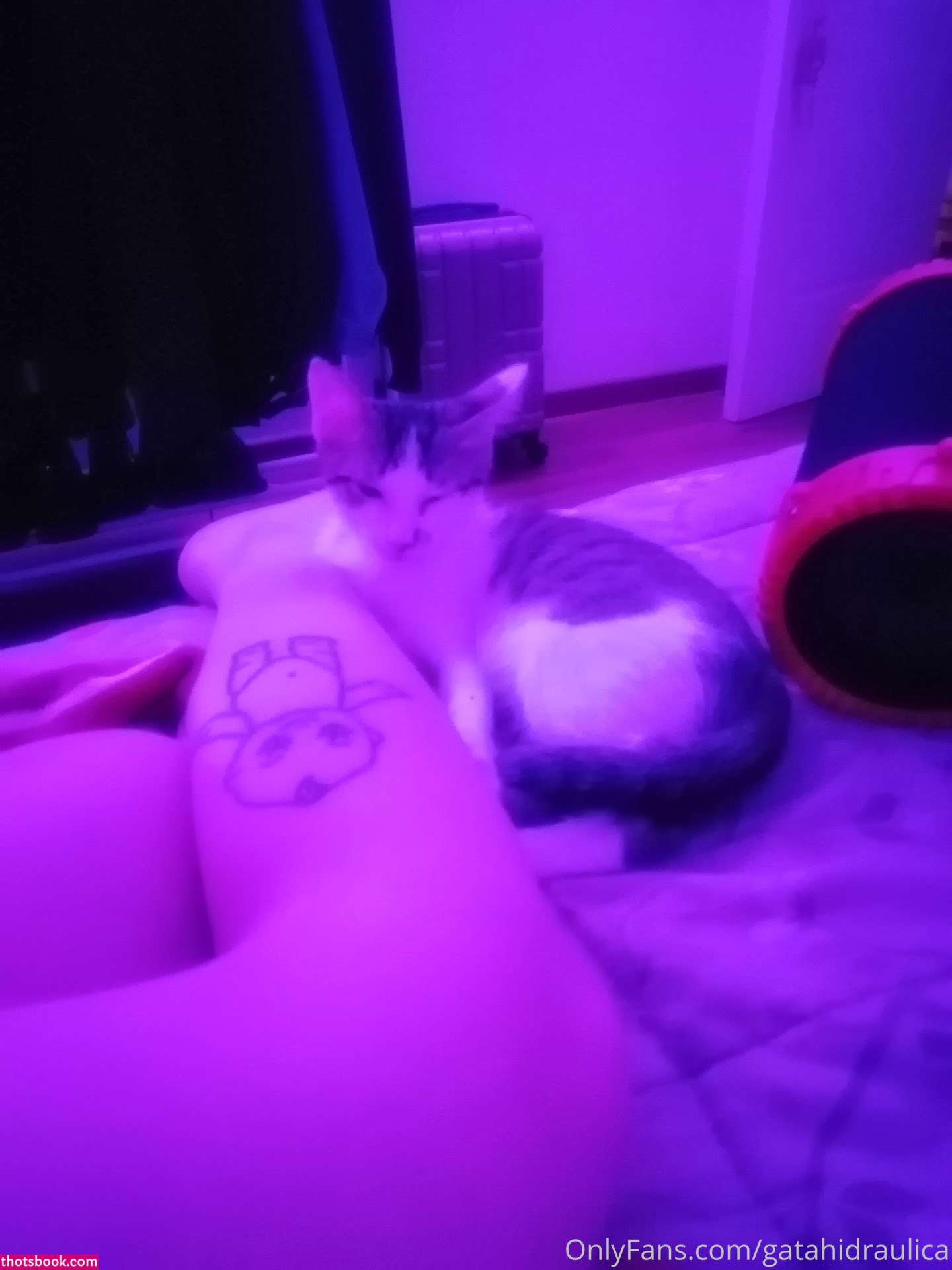 GatahiDraulica Nude OnlyFans Photos #5 1159735