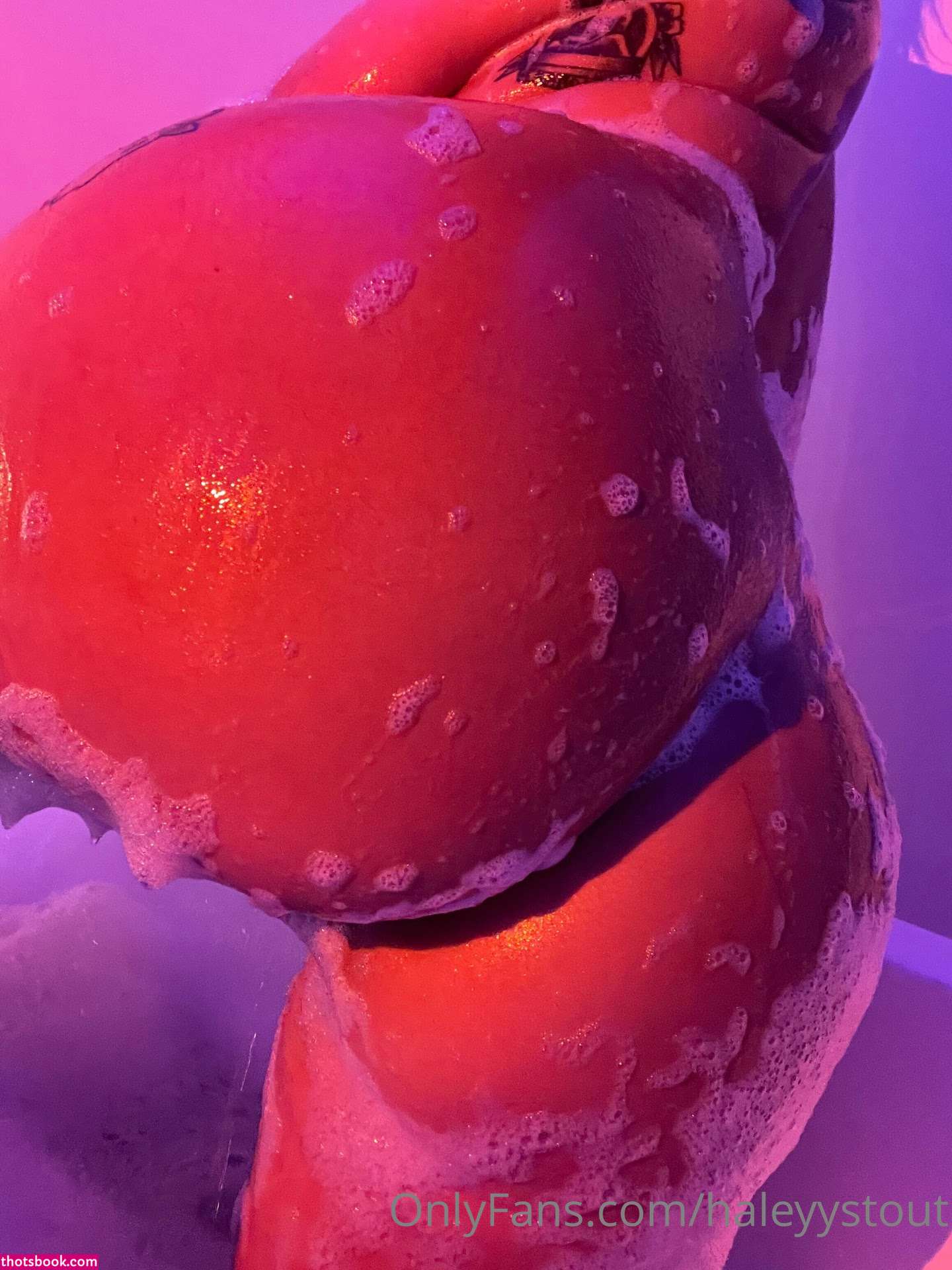 Haley Stout Nude OnlyFans Photos #2 1159778