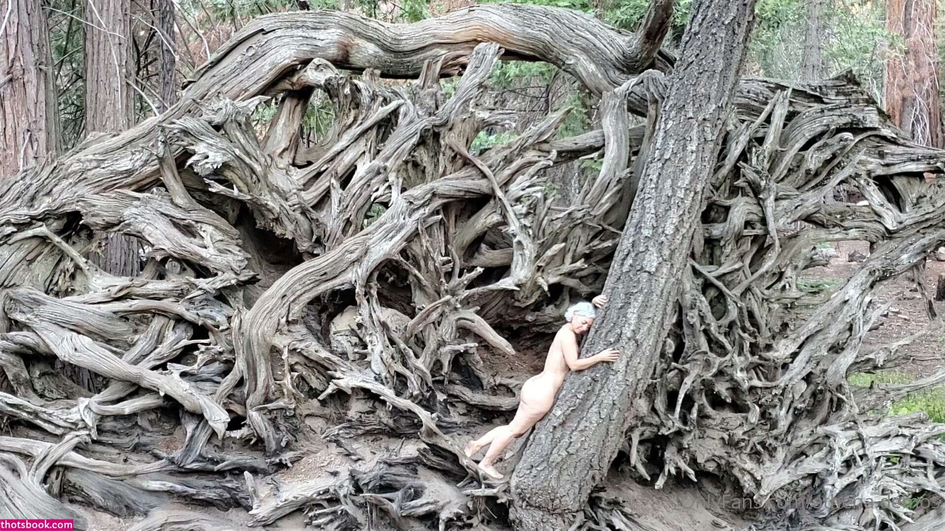 Athena Demos Aunt Athena Nude OnlyFans Photos #15 1178404