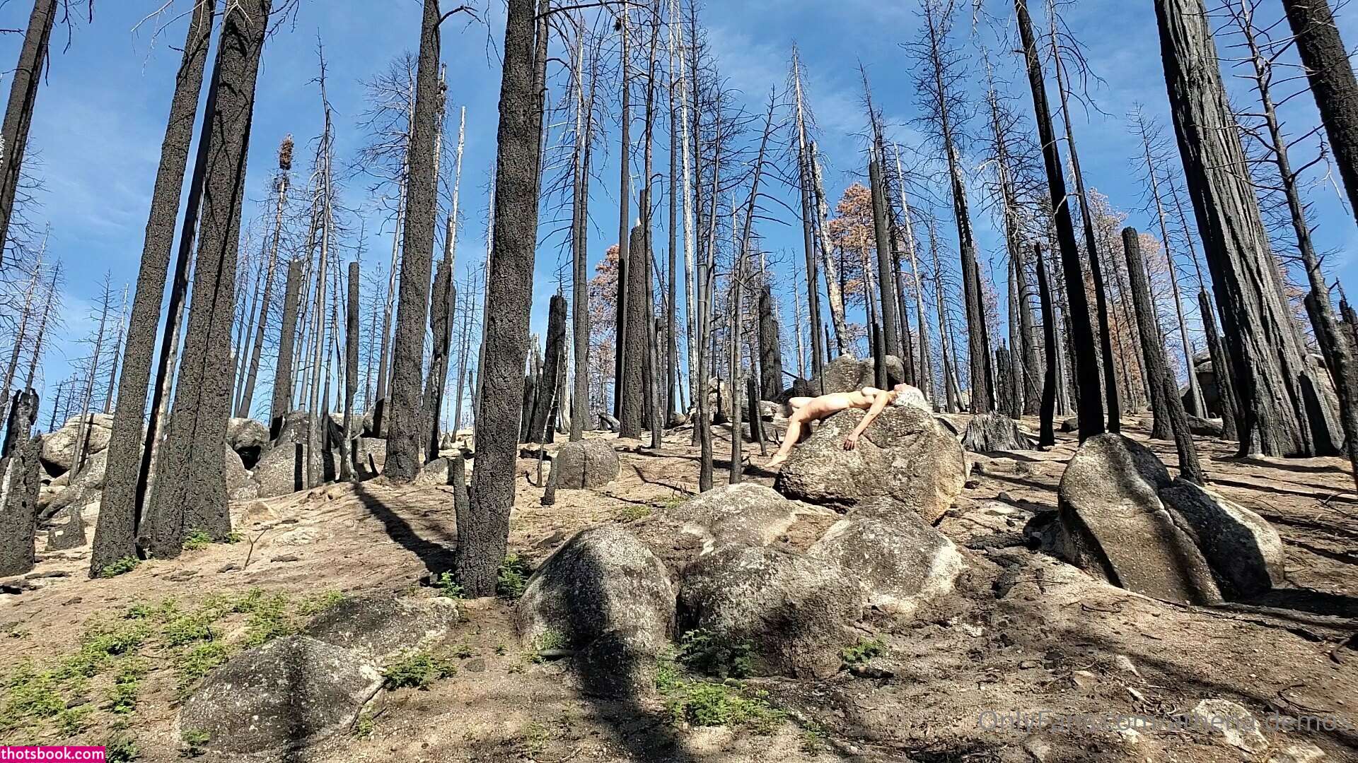 Athena Demos Aunt Athena Nude OnlyFans Photos #15 1178405