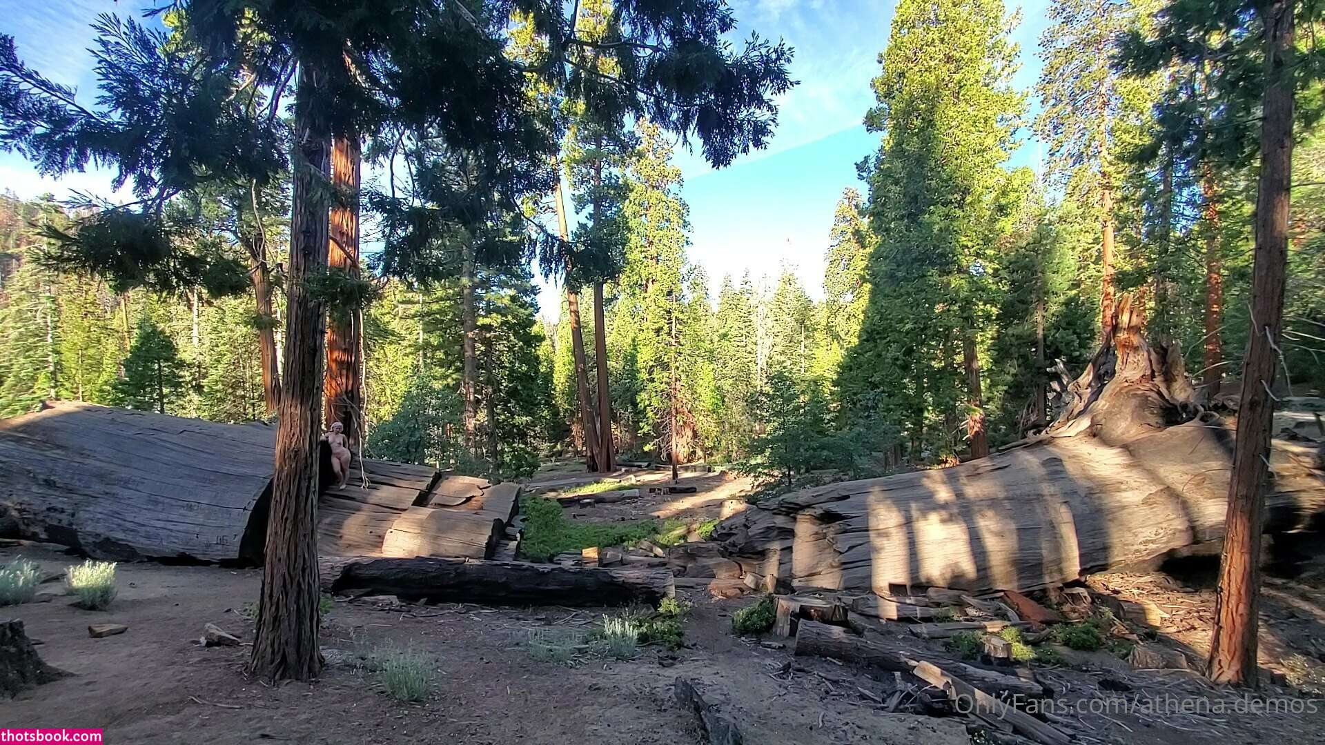 Athena Demos Aunt Athena Nude OnlyFans Photos #15 1178406