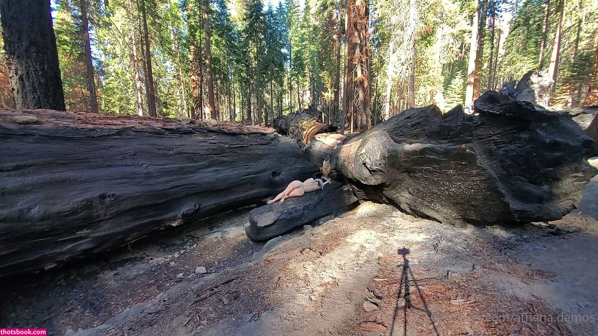 Athena Demos Aunt Athena Nude OnlyFans Photos #15 1178418