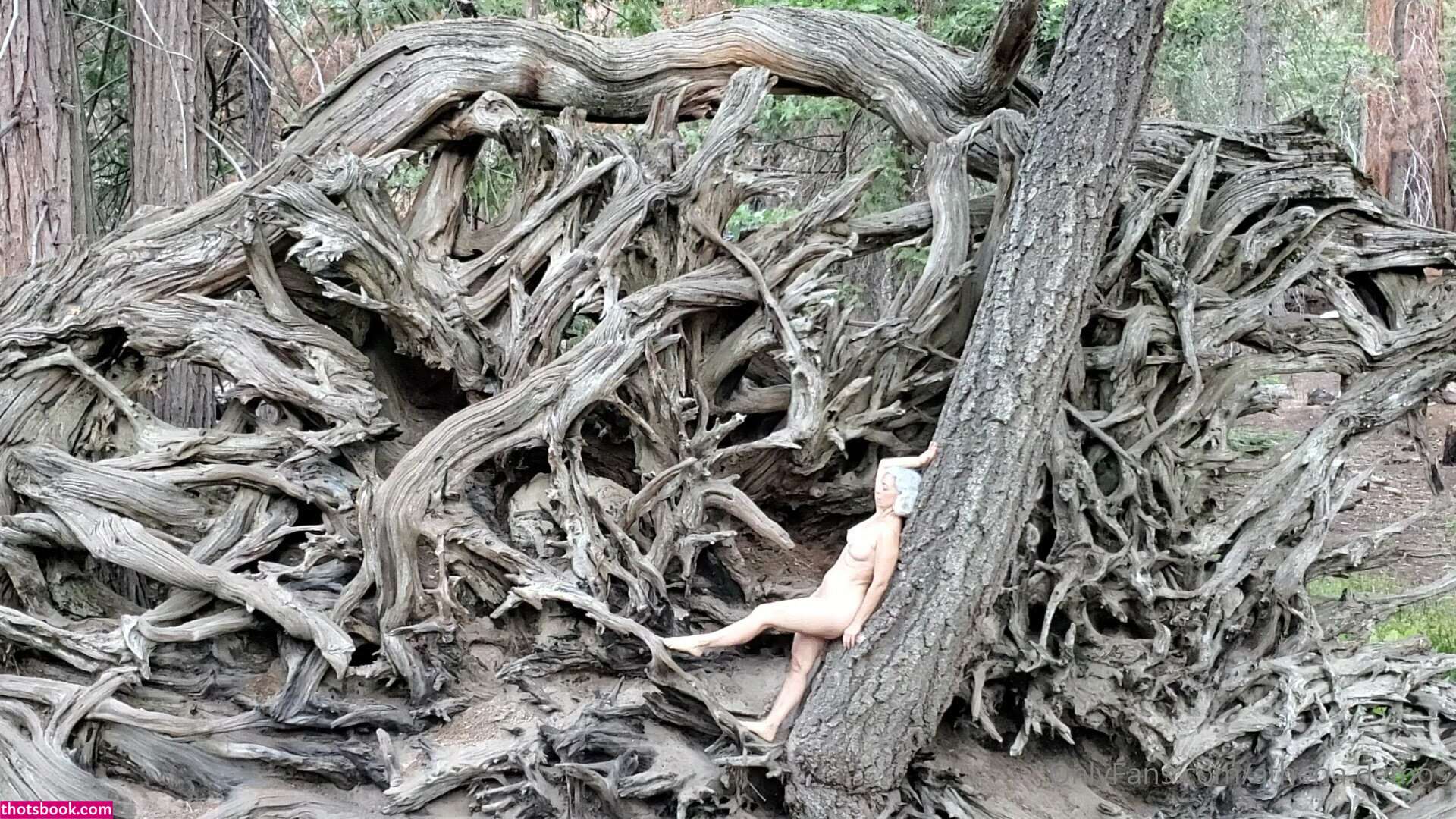 Athena Demos Aunt Athena Nude OnlyFans Photos #15 1178422