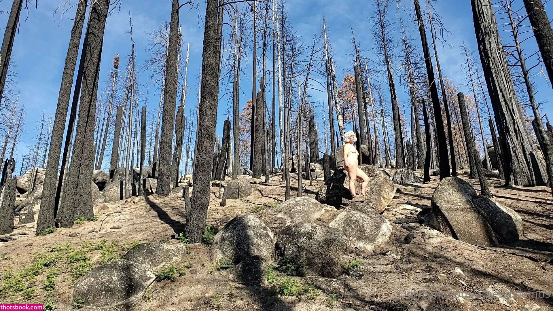 Athena Demos Aunt Athena Nude OnlyFans Photos #15 1178428