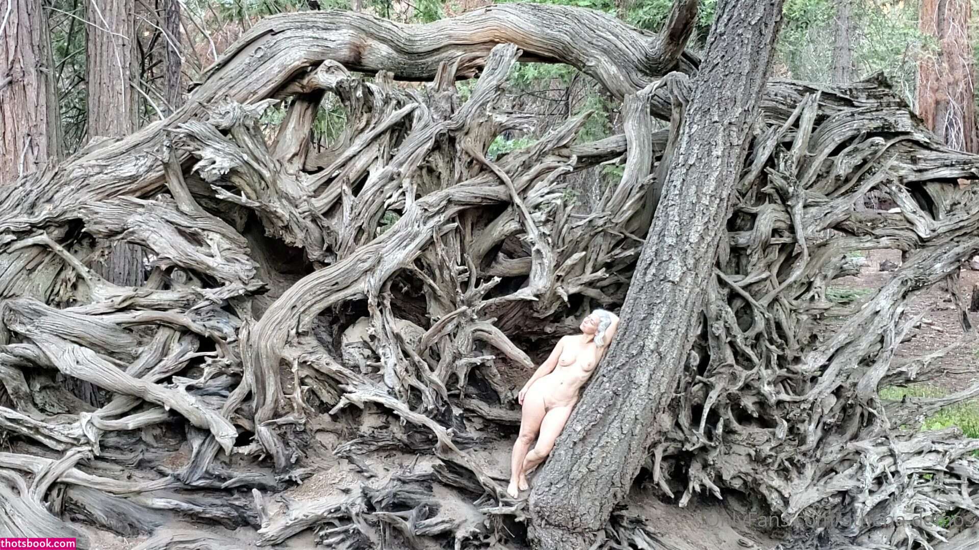 Athena Demos Aunt Athena Nude OnlyFans Photos #15 1178433