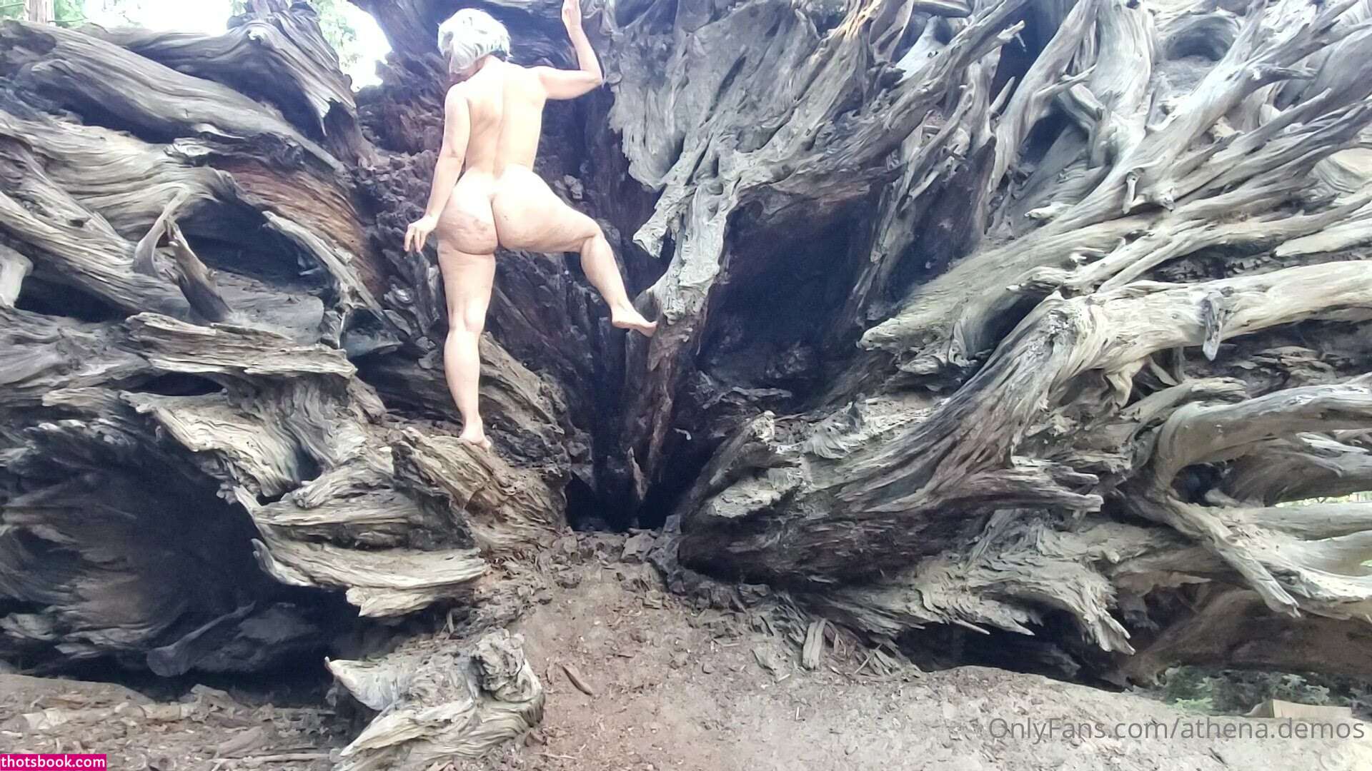 Athena Demos Aunt Athena Nude OnlyFans Photos #15 1178442