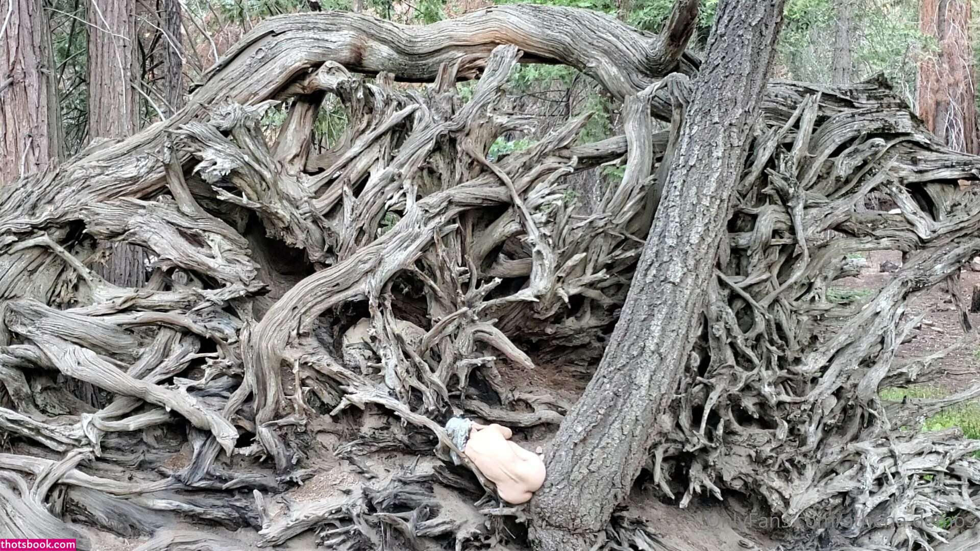 Athena Demos Aunt Athena Nude OnlyFans Photos #15 1178445