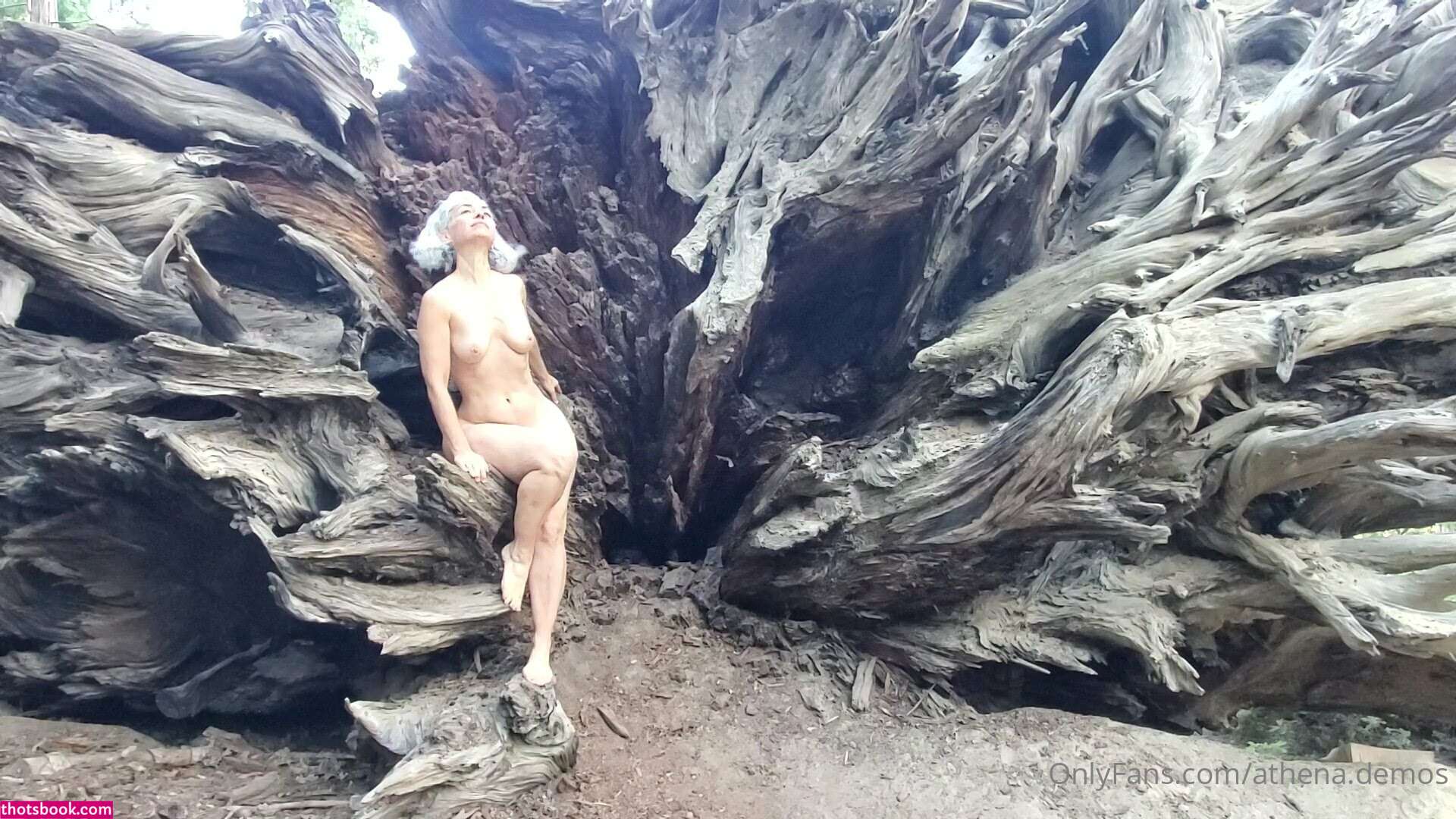 Athena Demos Aunt Athena Nude OnlyFans Photos #15 1178448