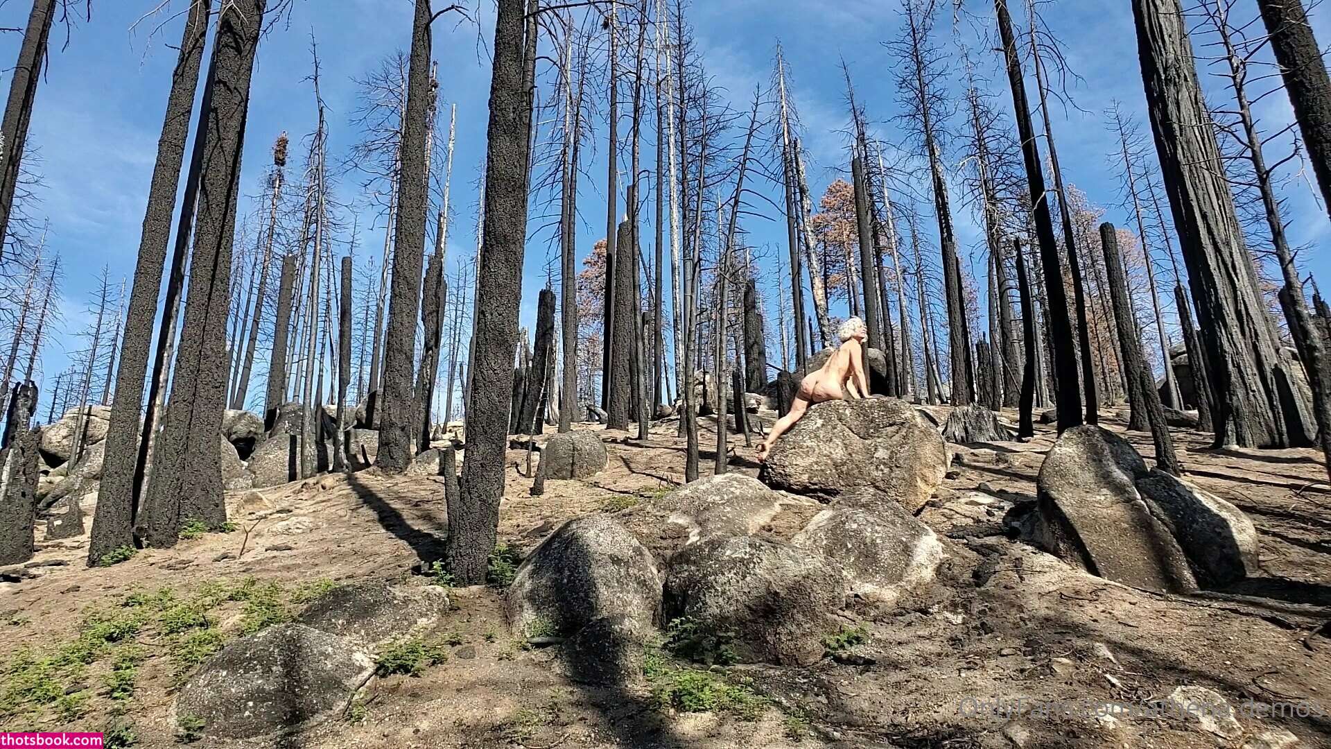 Athena Demos Aunt Athena Nude OnlyFans Photos #15 1178468