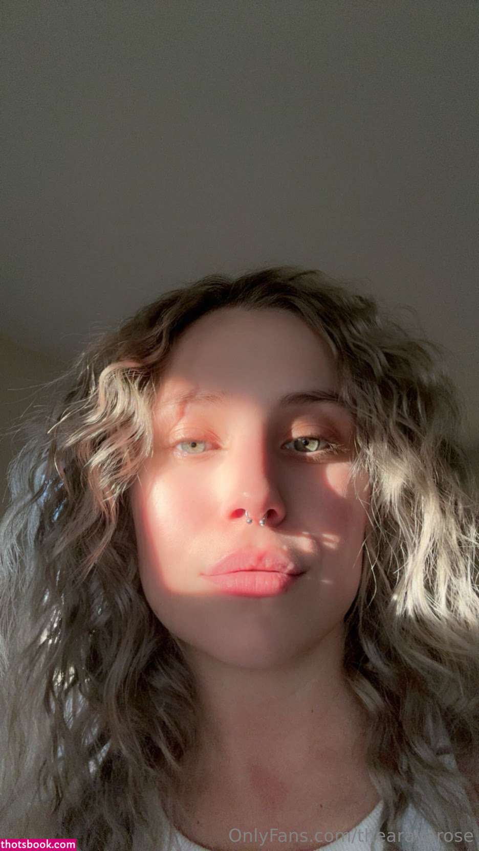 thearayarose Nude Leaks OnlyFans Photos #2 1790584