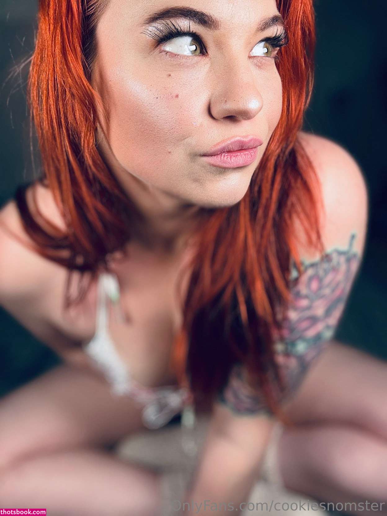 cookiesnomster Nude Leaks OnlyFans Photos #2 1792190