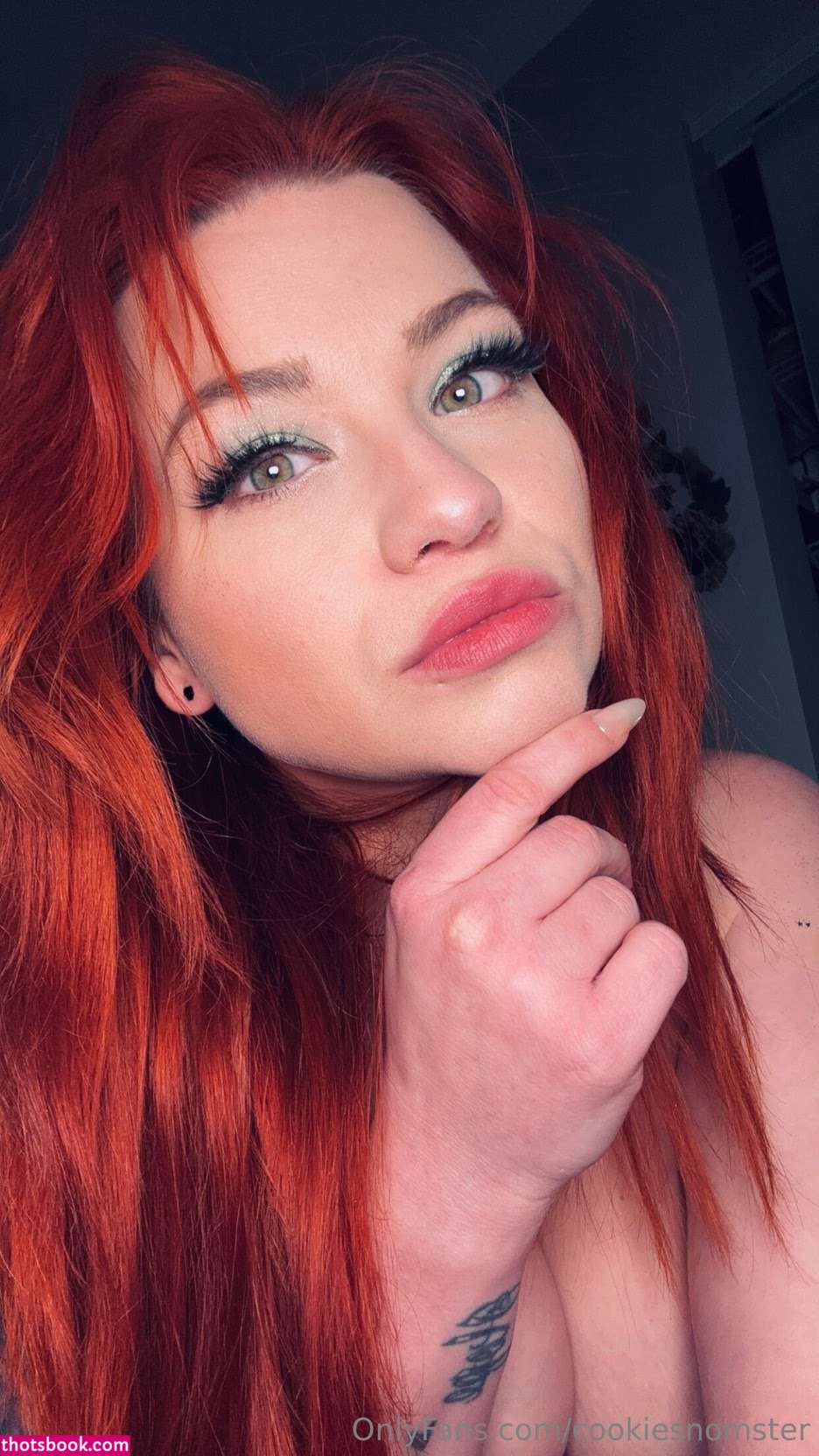 cookiesnomster Nude Leaks OnlyFans Photos #4 1792201