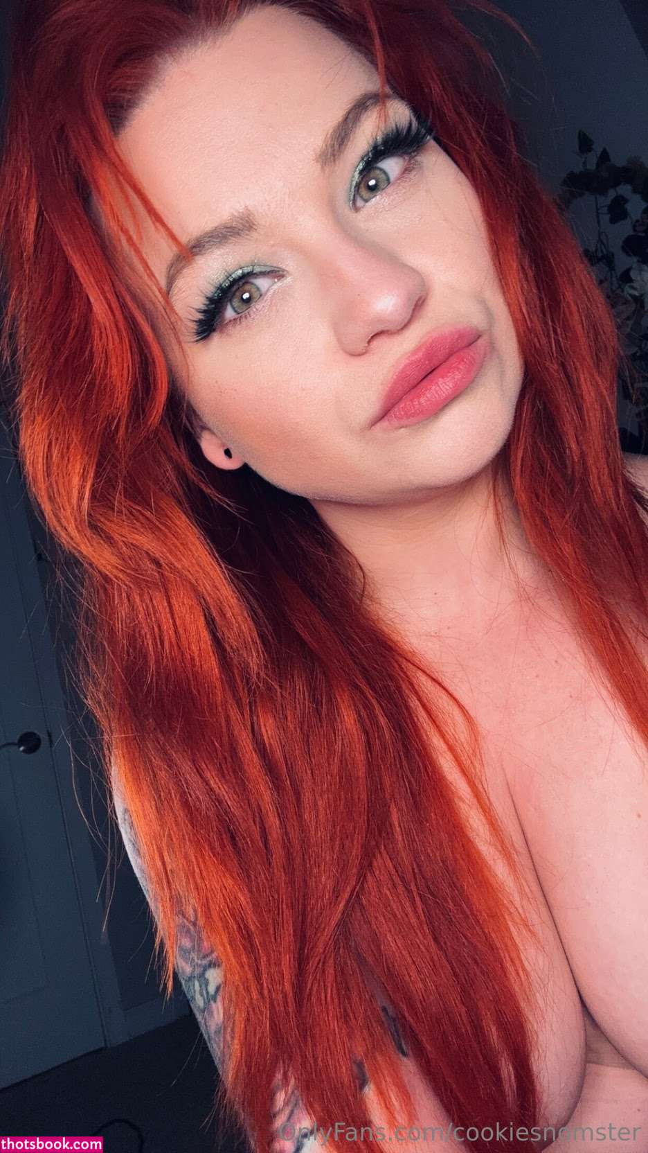 cookiesnomster Nude Leaks OnlyFans Photos #4 1792203