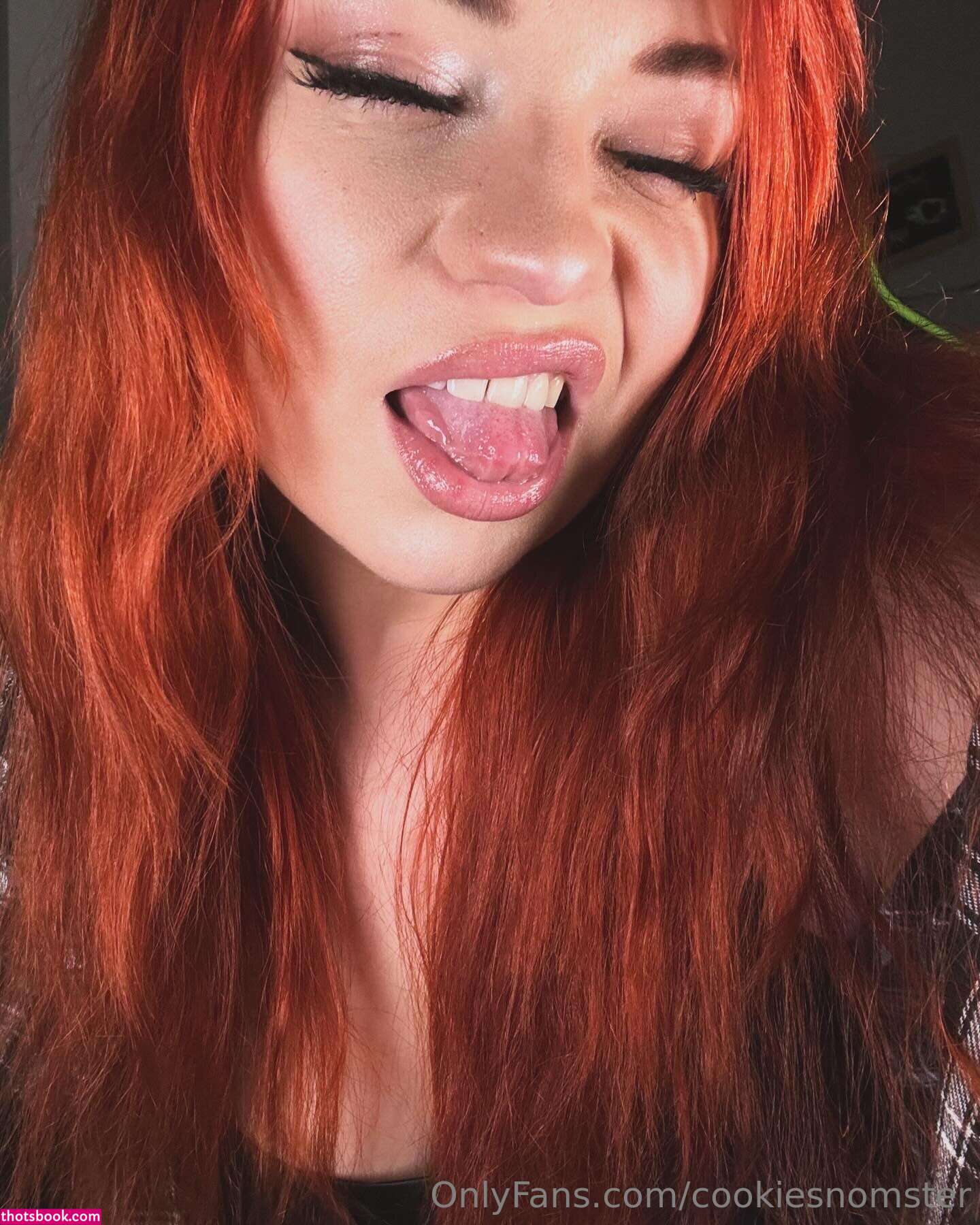 cookiesnomster Nude Leaks OnlyFans Photos #5 1792204
