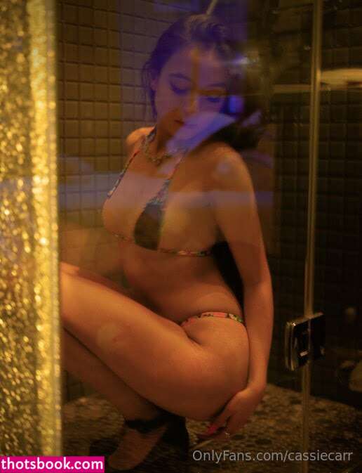 cassiecarr nude Leaks OnlyFans Photos #2 1802418