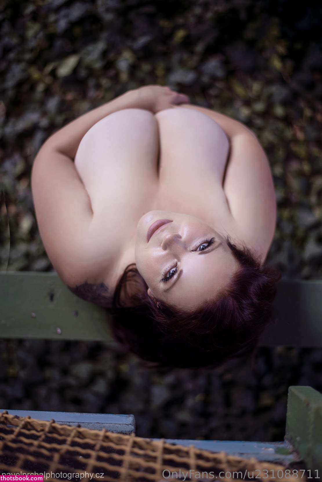 czech venus Nude Leaks OnlyFans Photos #4 1817346