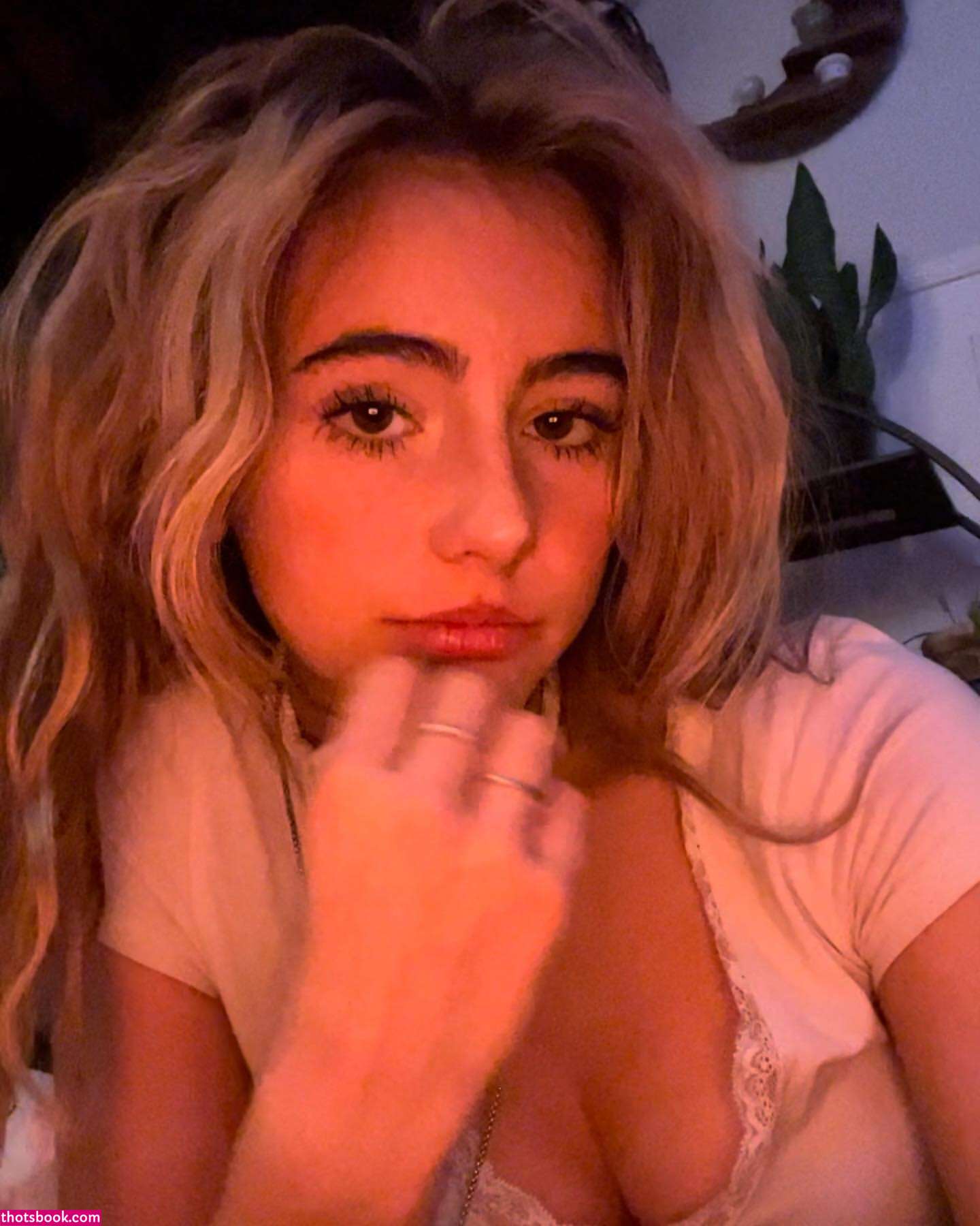 Hippicam  Hippicamm Photos #1 282567