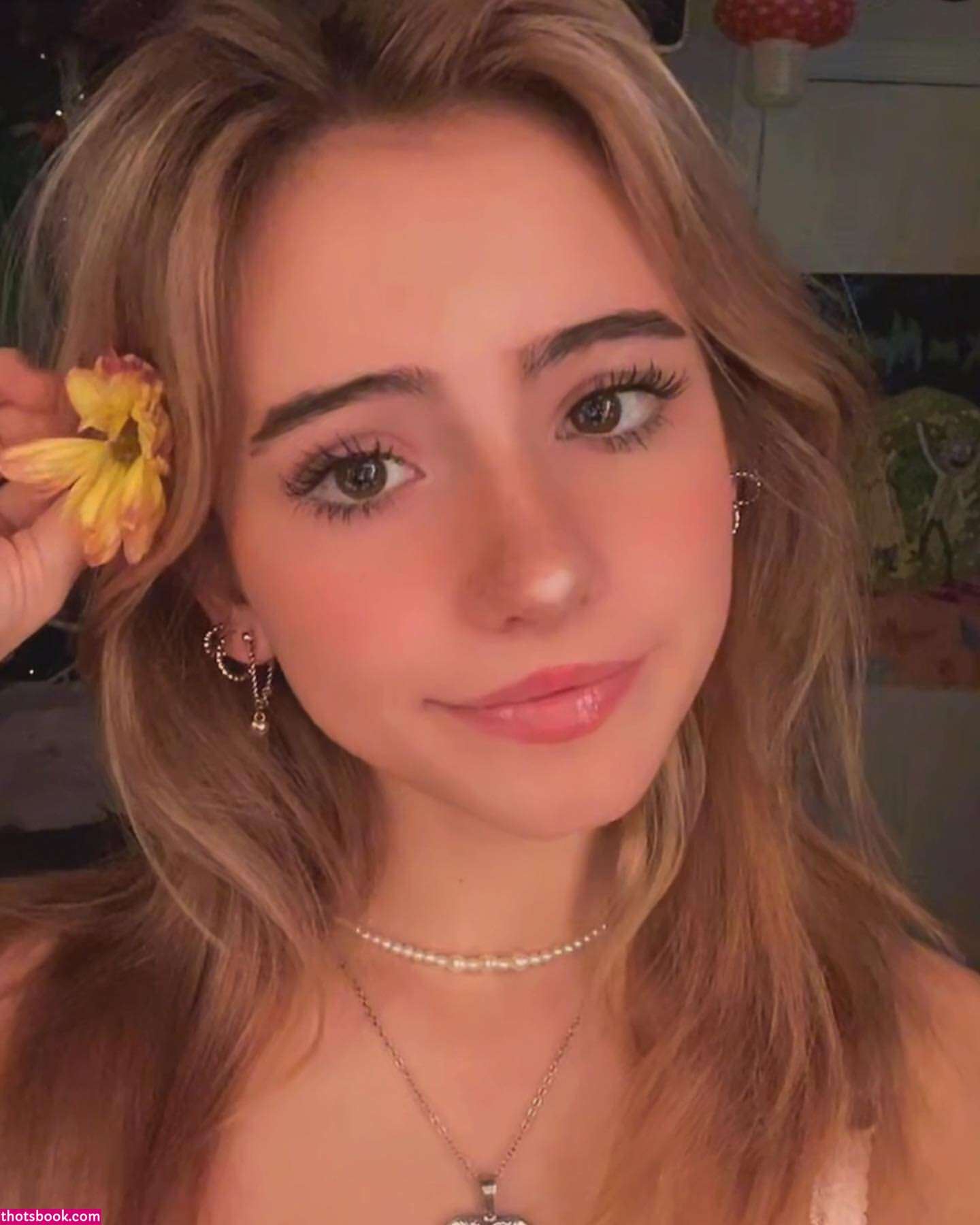 Hippicam  Hippicamm Photos #1 282568