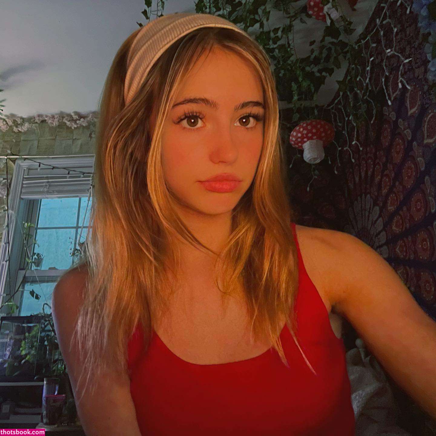 Hippicam  Hippicamm Photos #11 284018