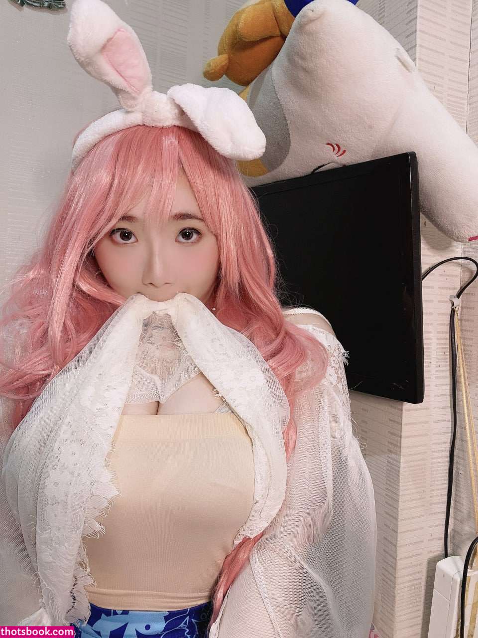 Ai Melody27  Indonesian Cosplayer Nude OnlyFans Photos #5 312748