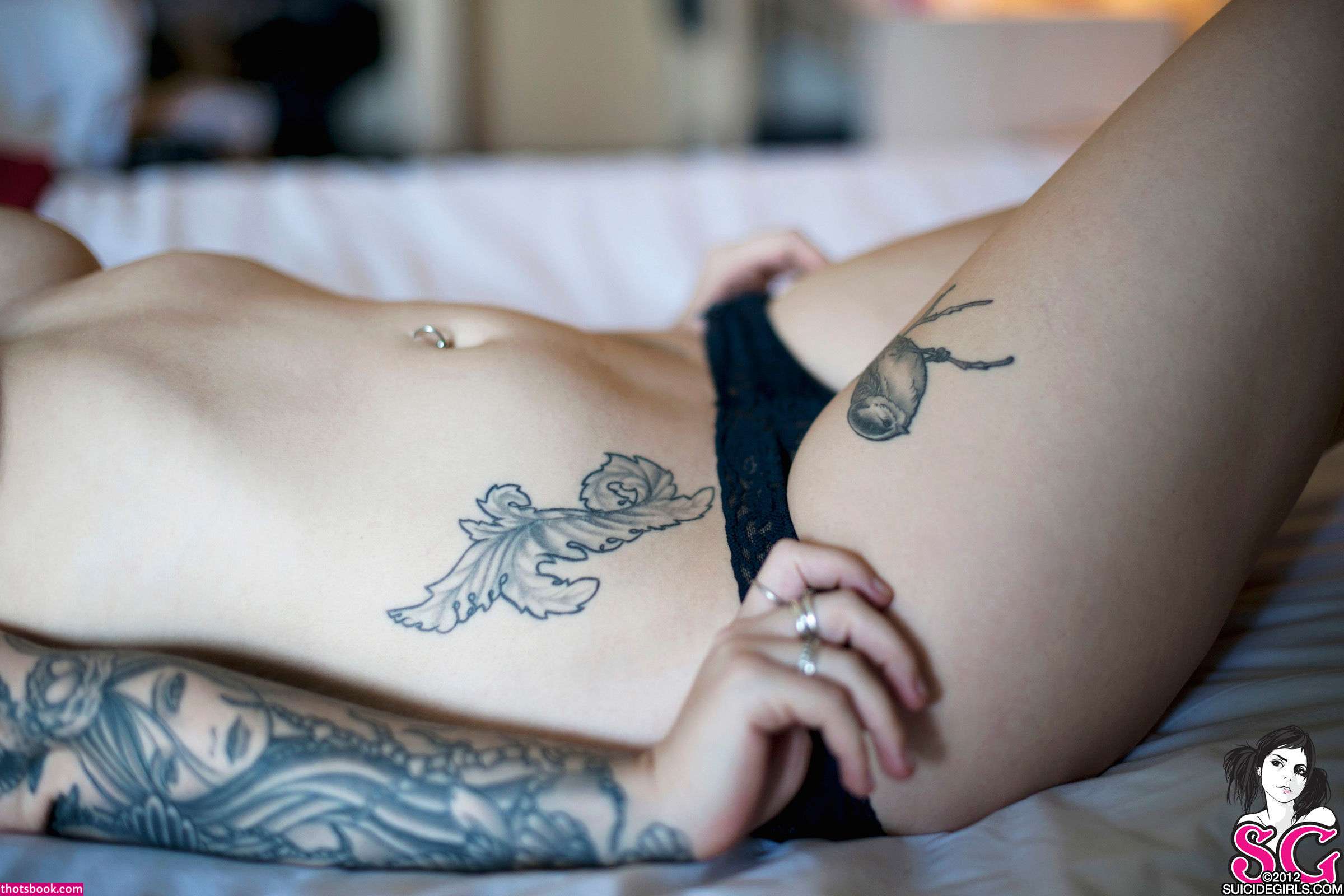 Sash Suicide Photos #12 279599