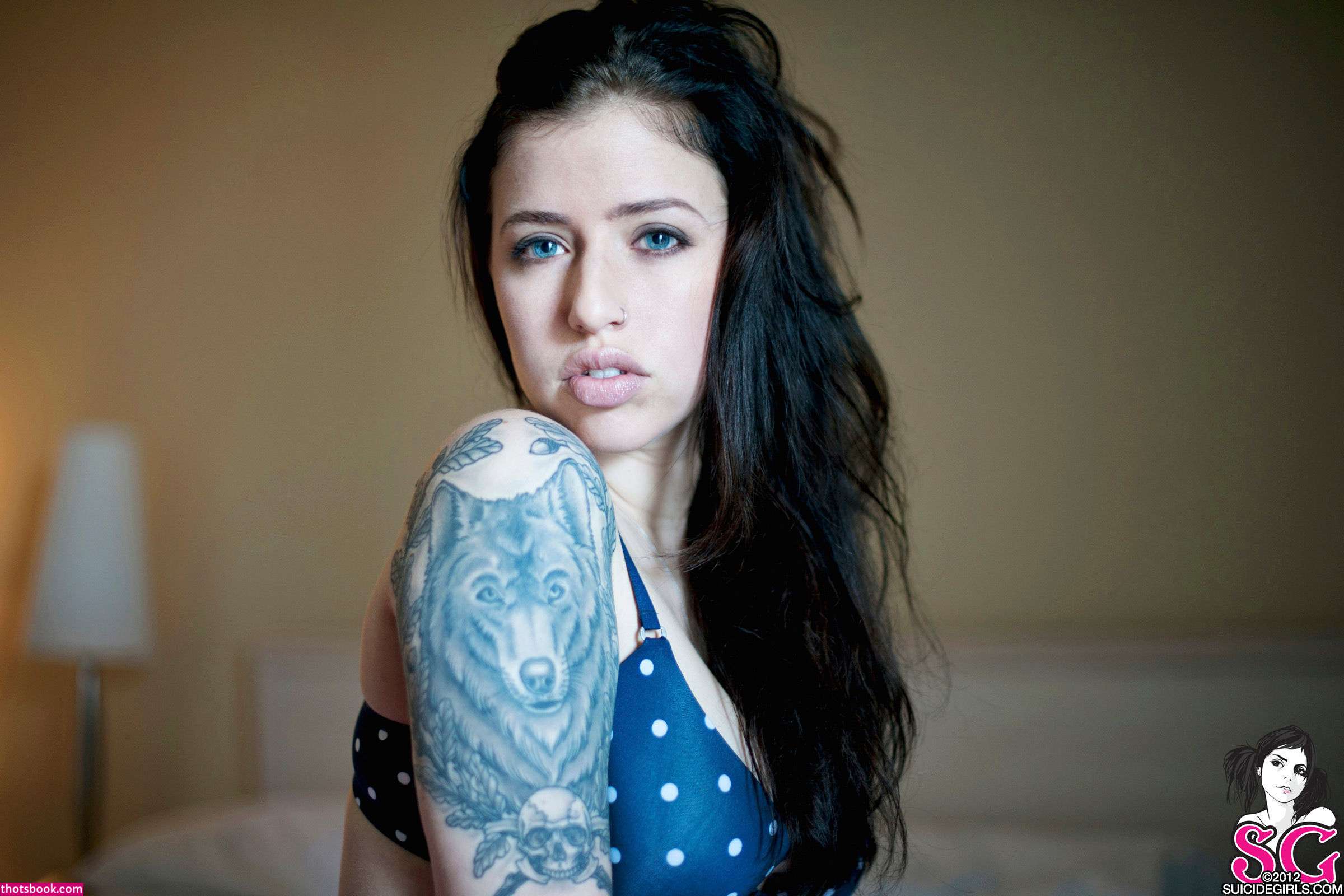 Sash Suicide Photos #12 279600