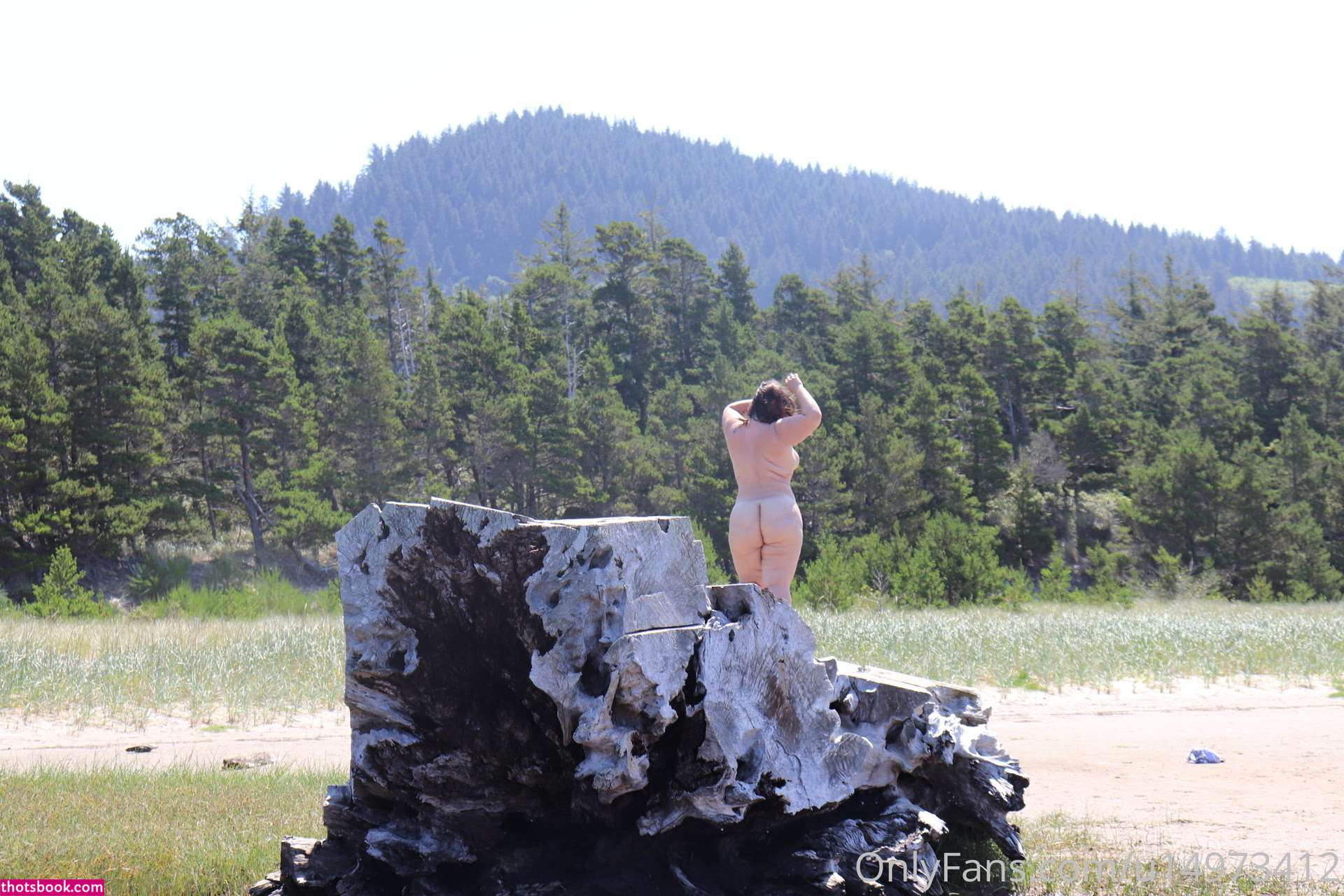 Ana Pessack  Thebumbumqueen OnlyFans Photos #3 279942