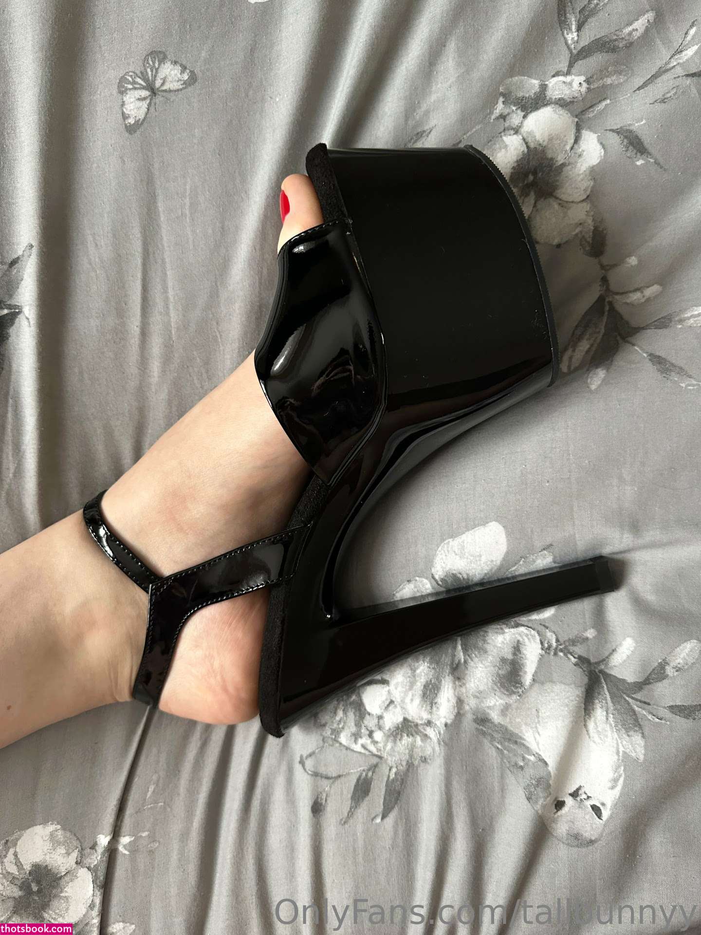 Tallbunnyy  bunnykt  kaatielou  katiewoolls Photos #1 285358