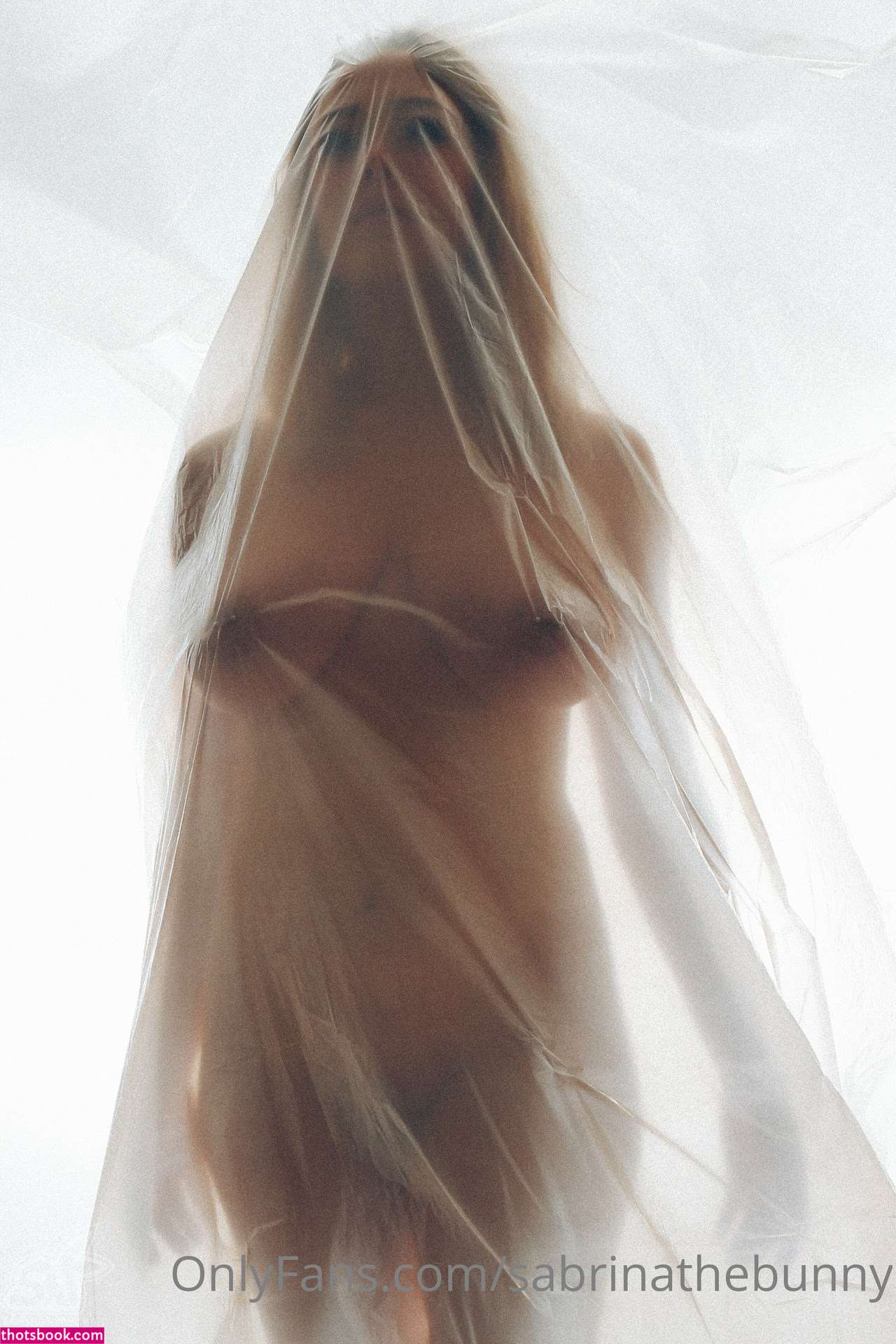Sabrinathebunny OnlyFans Photos #5 287665