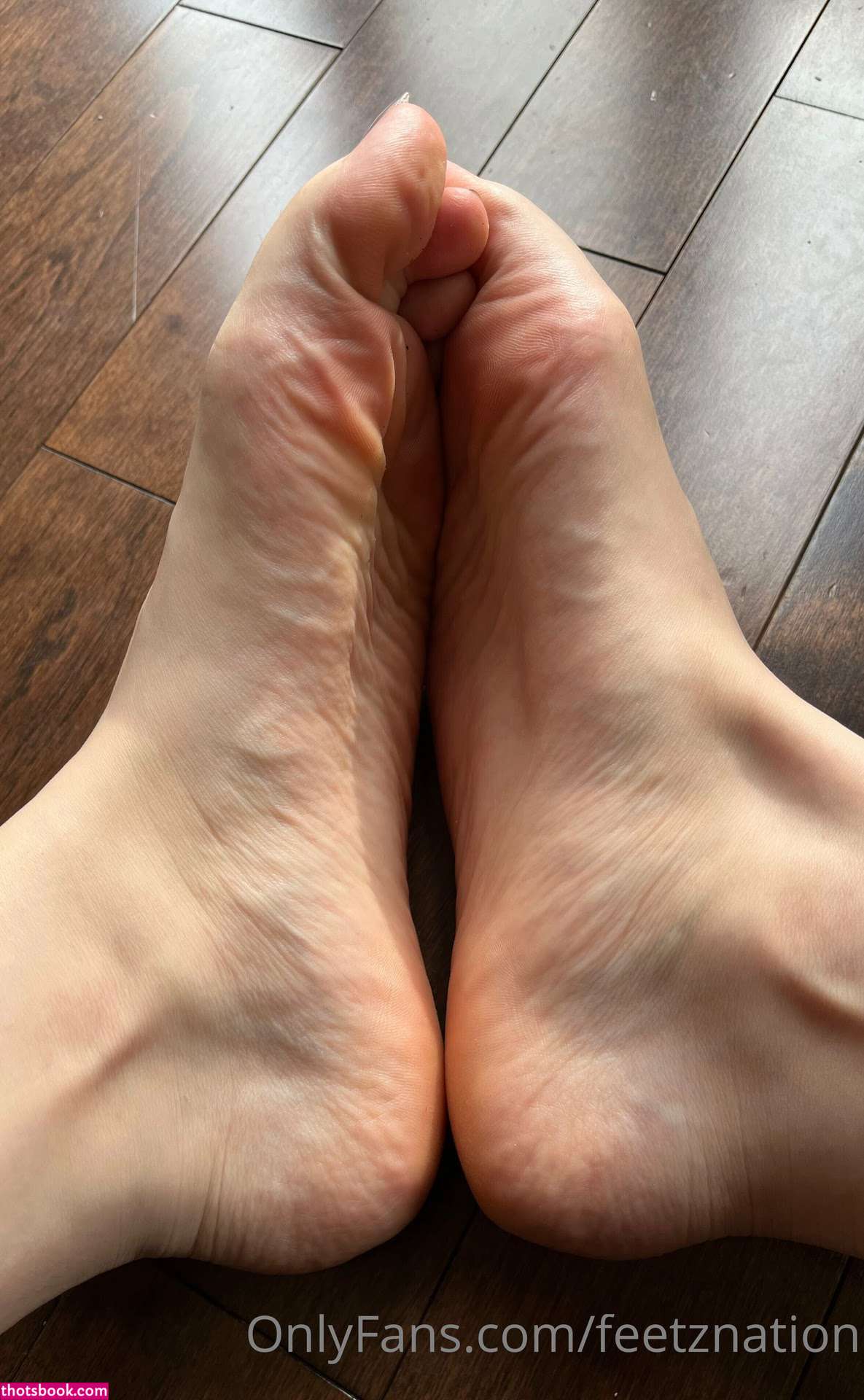QueenZsFeet feetznation Nude OnlyFans Photos #15 1040383