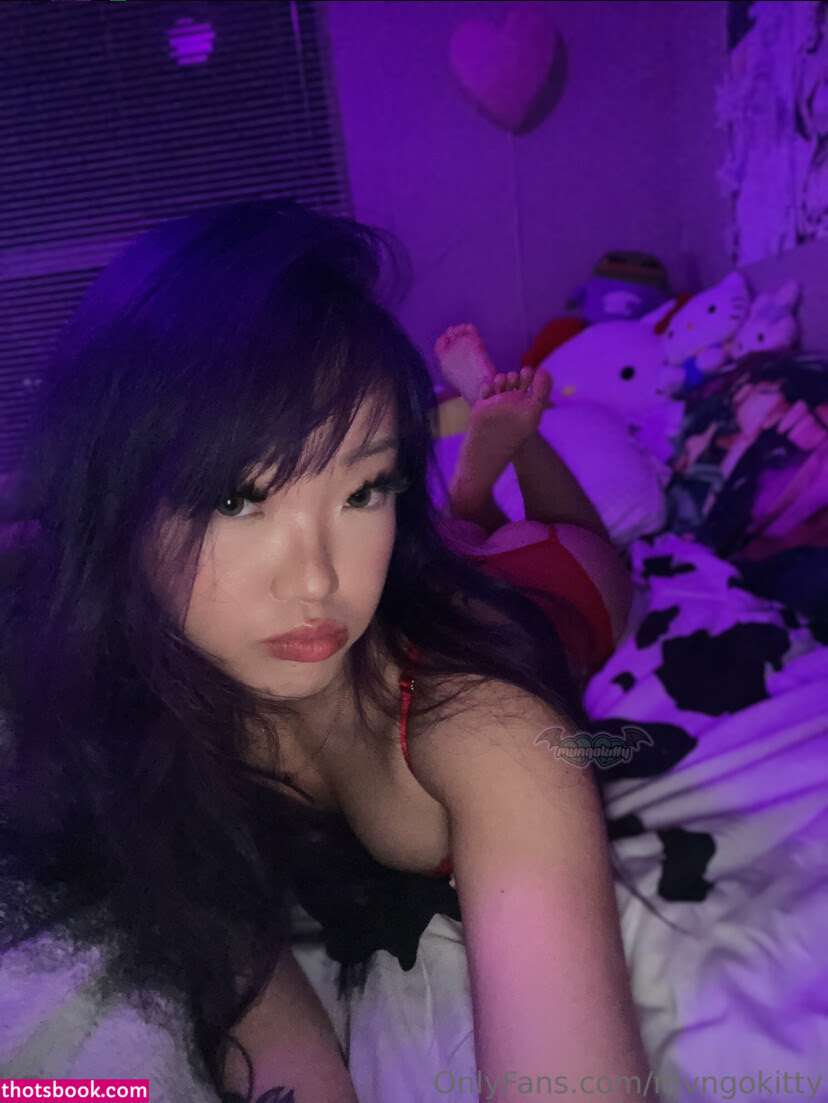 Mvngokitty Nude OnlyFans Photos #20 1084826