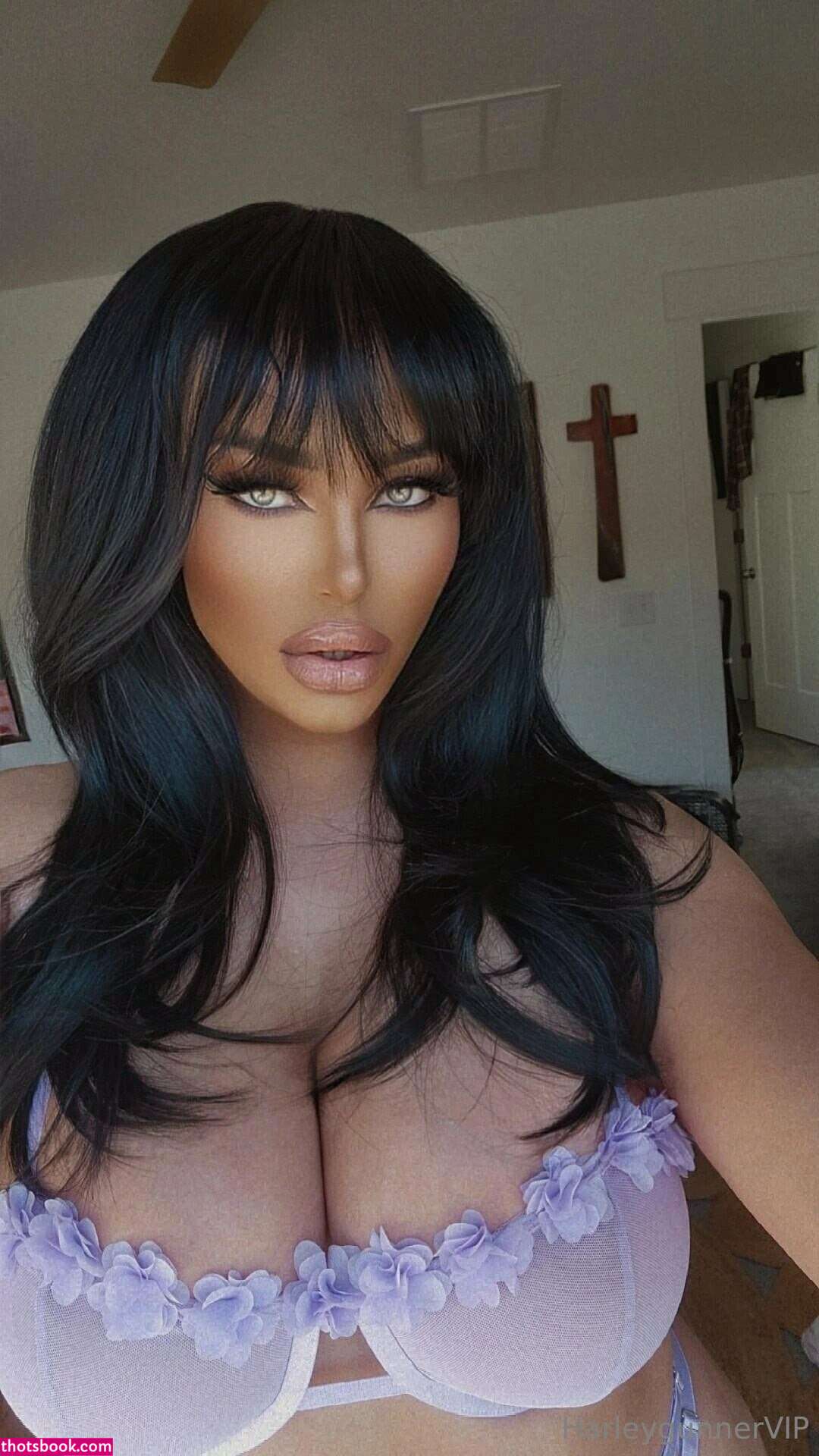 harleygunner harleygunnervip rideharley Nude OnlyFans Photos #6 1072125