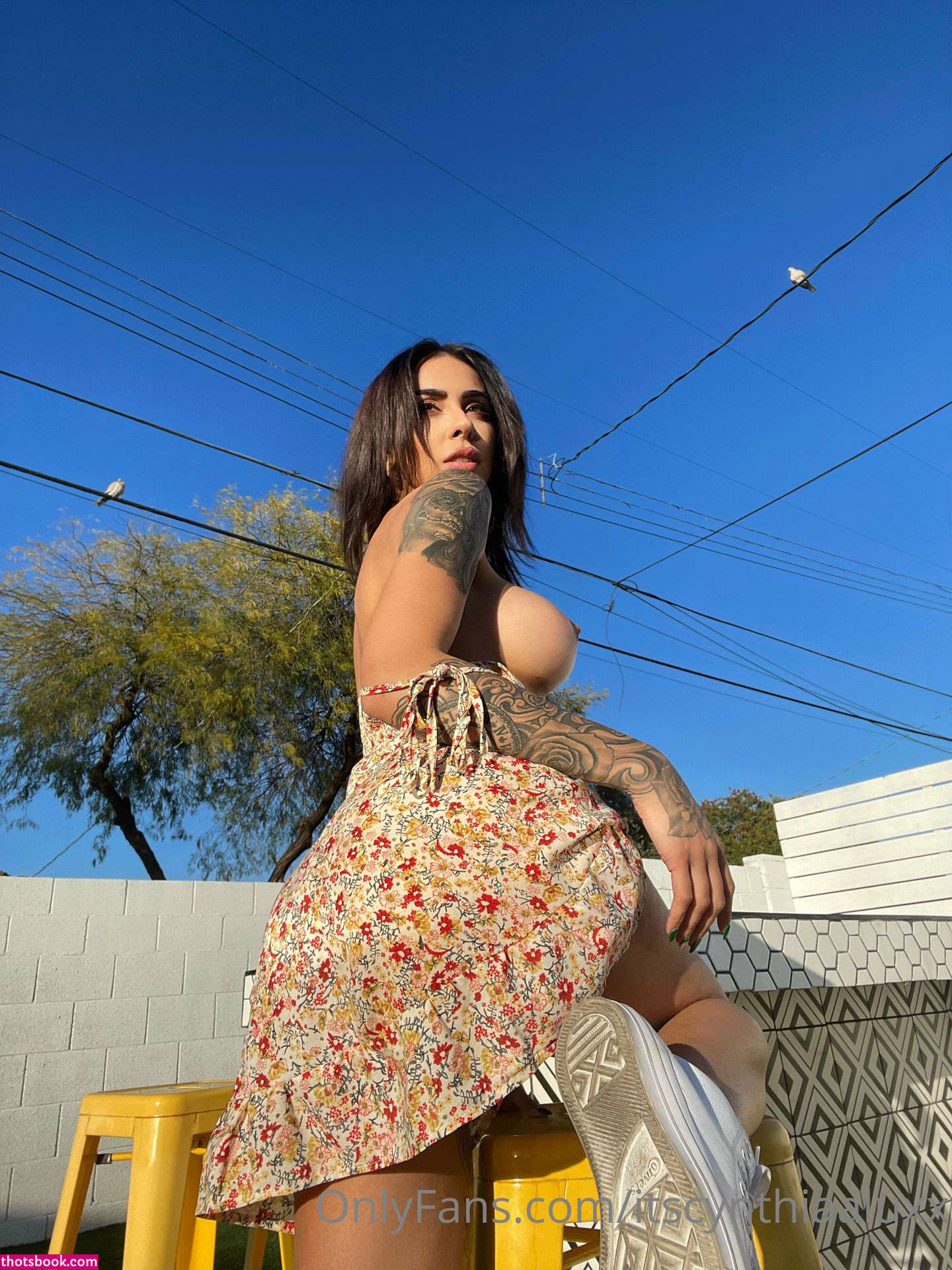 Cynthiaaluxx Itscynthiaaluxx Nude OnlyFans Photos #8 1072737