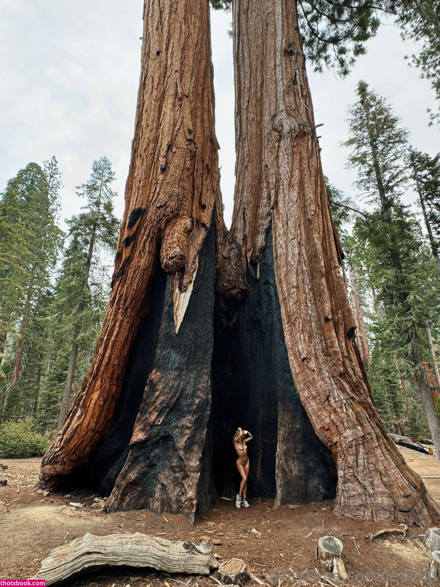 Leolulu Nude OnlyFans Photos #57 1046103