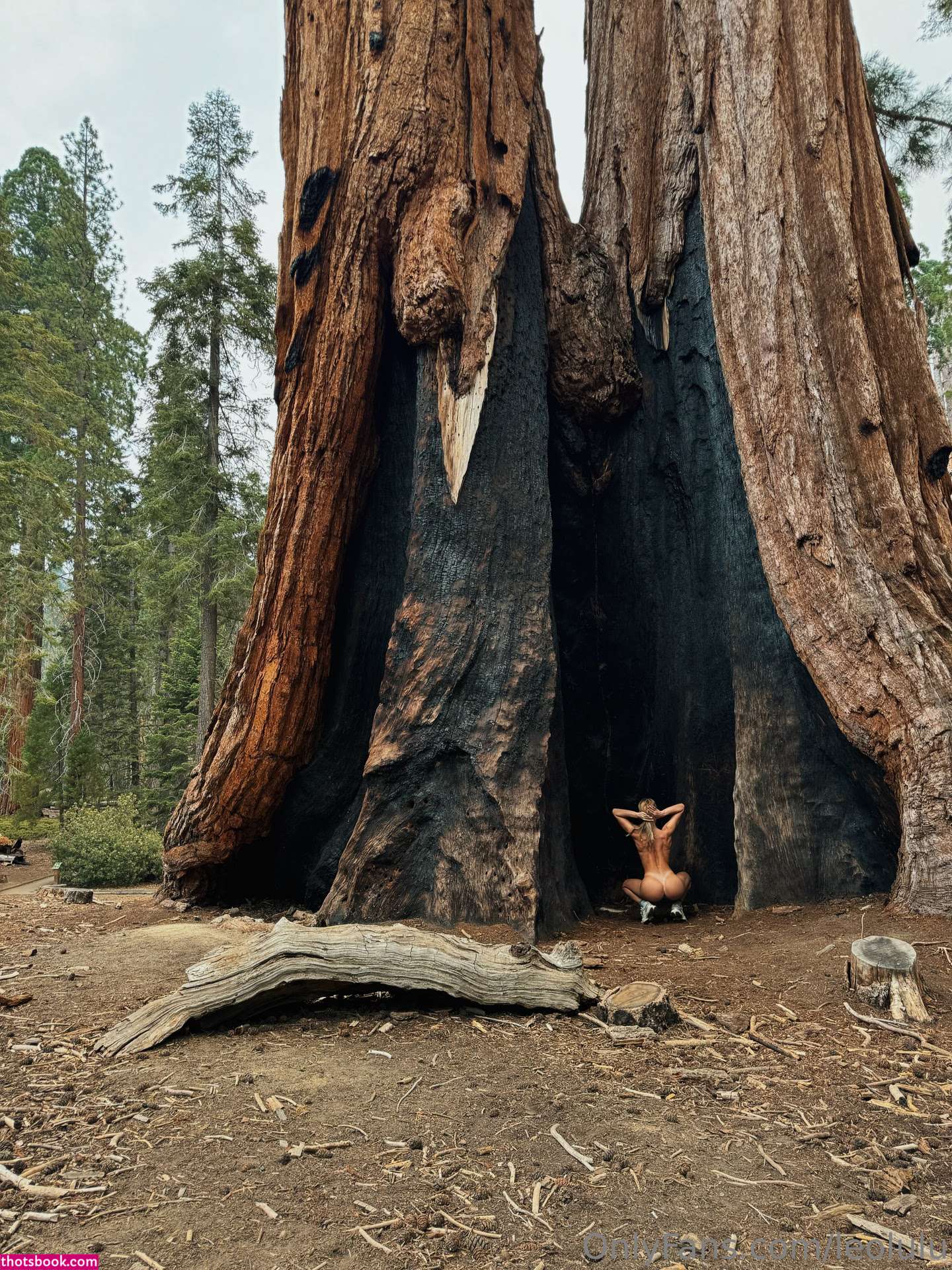 Leolulu Nude OnlyFans Photos #57 1046106