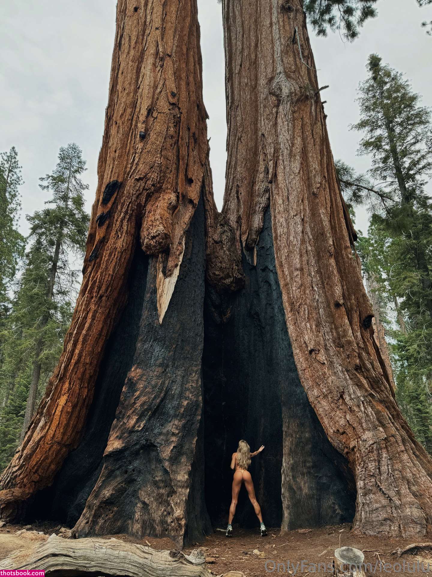 Leolulu Nude OnlyFans Photos #57 1046108