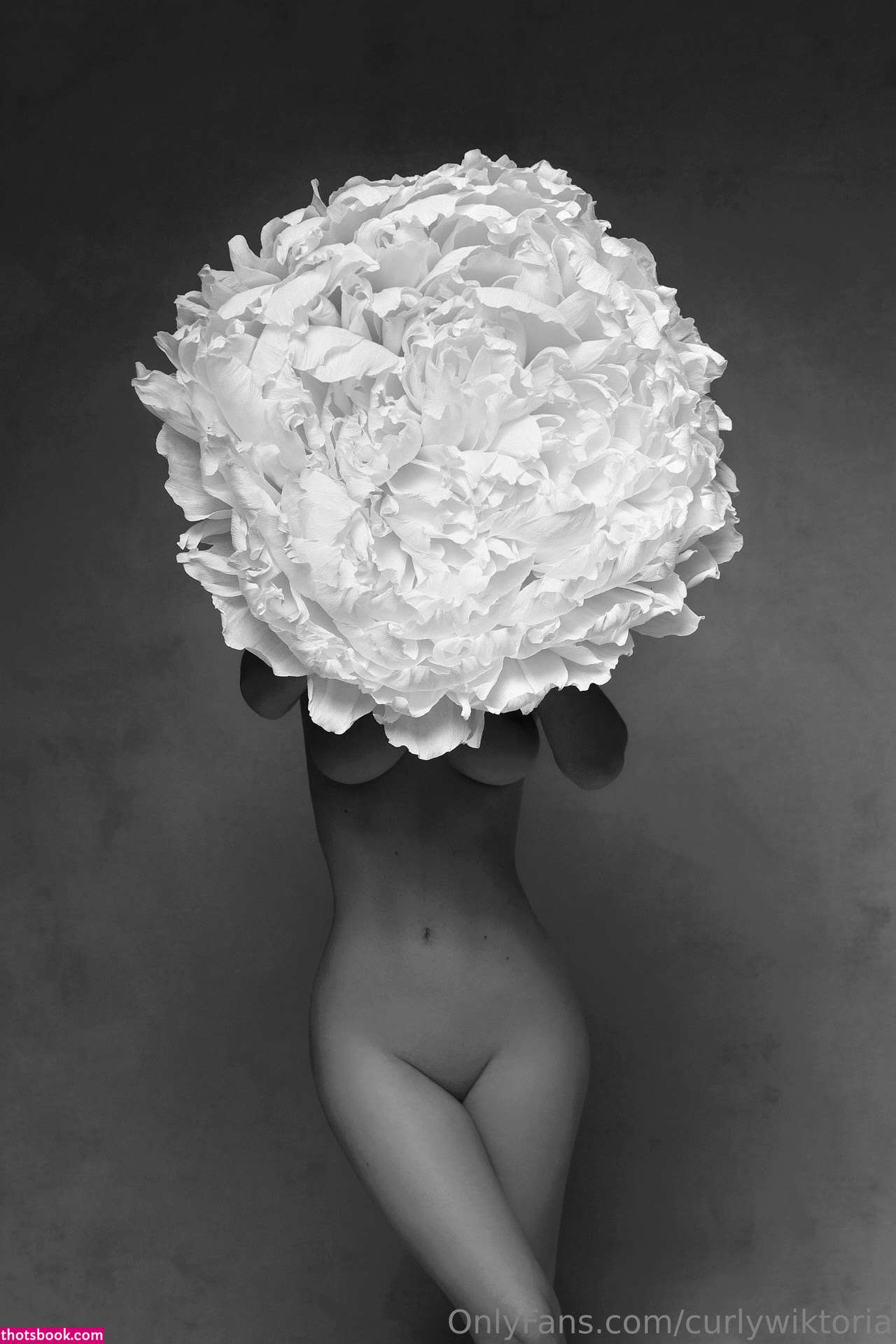 curlywiktoria wiktoria moldawiak Nude OnlyFans Photos #14 1065078