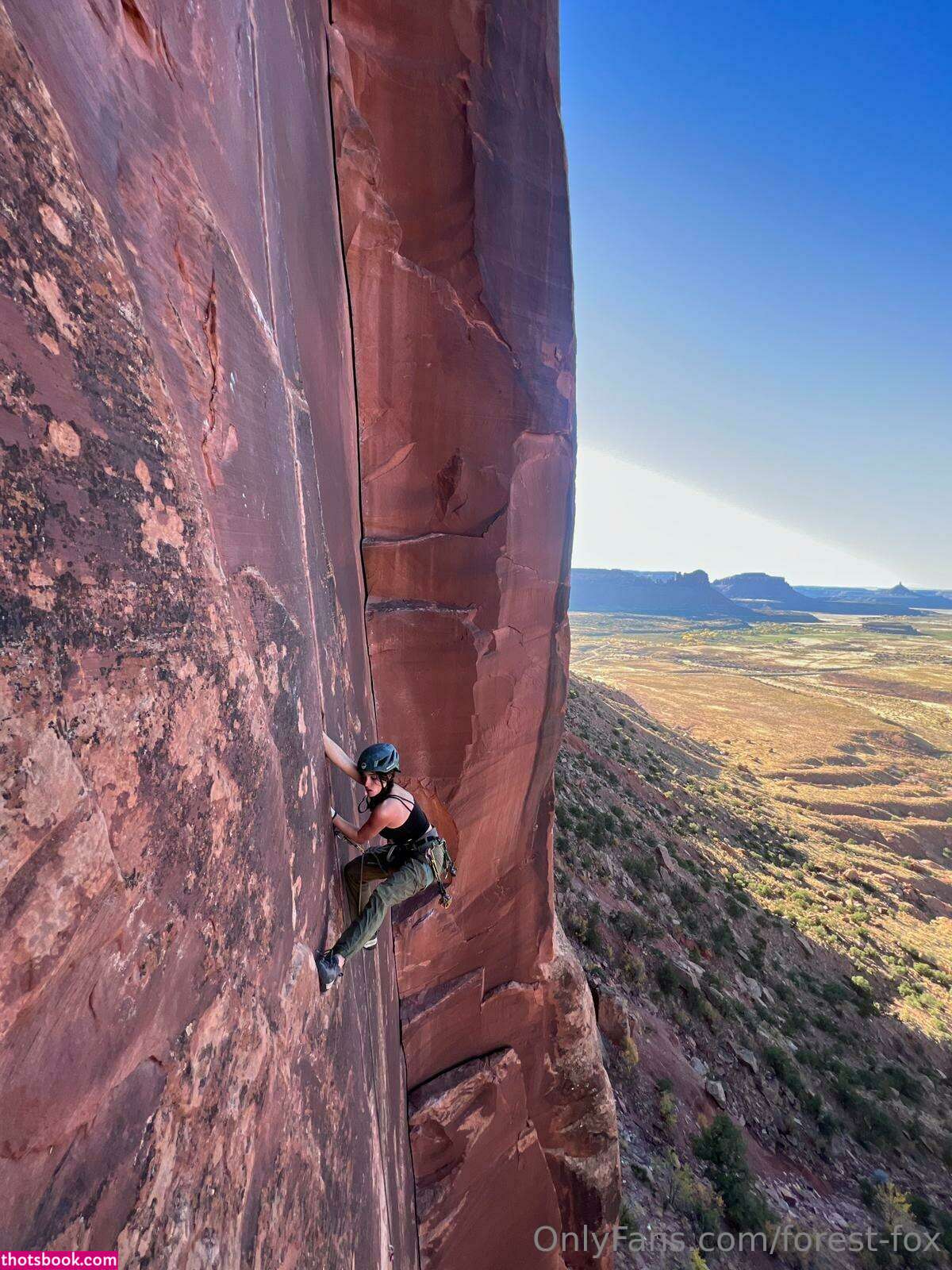 forest fox Nude OnlyFans Photos #9 1091895