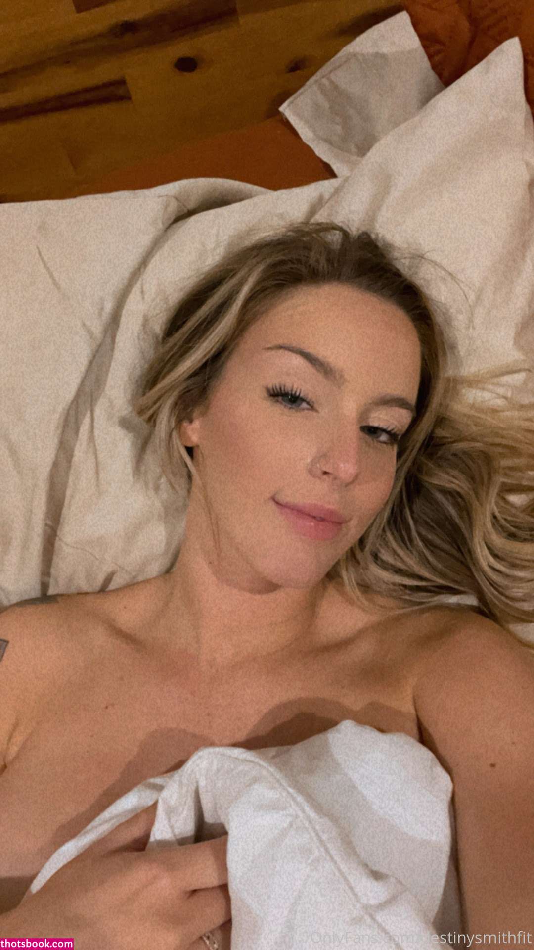 Destinysmithfit Nude OnlyFans Photos #10 1041930