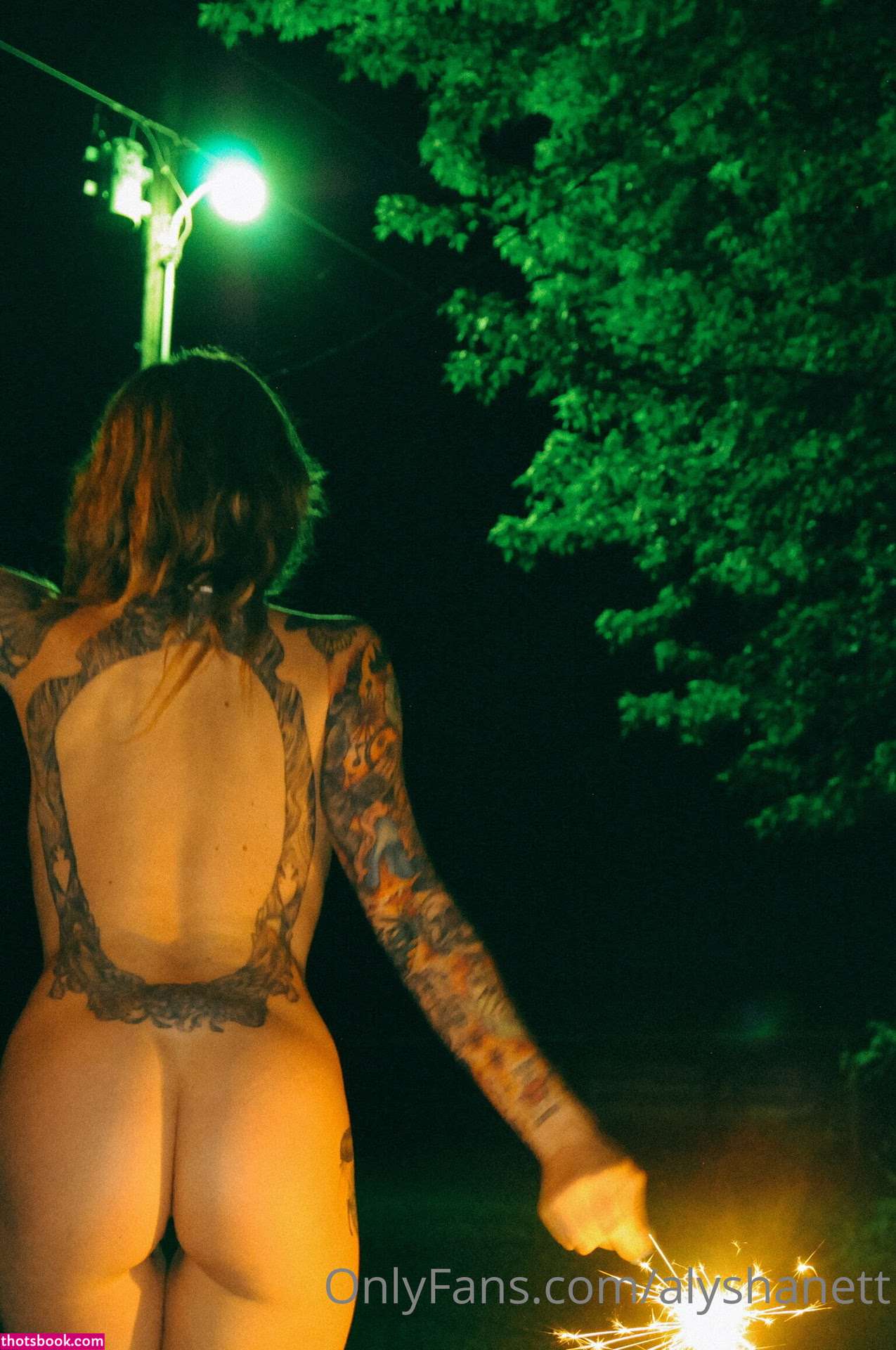 Alysha Nett Nude OnlyFans Photos #17 1086301