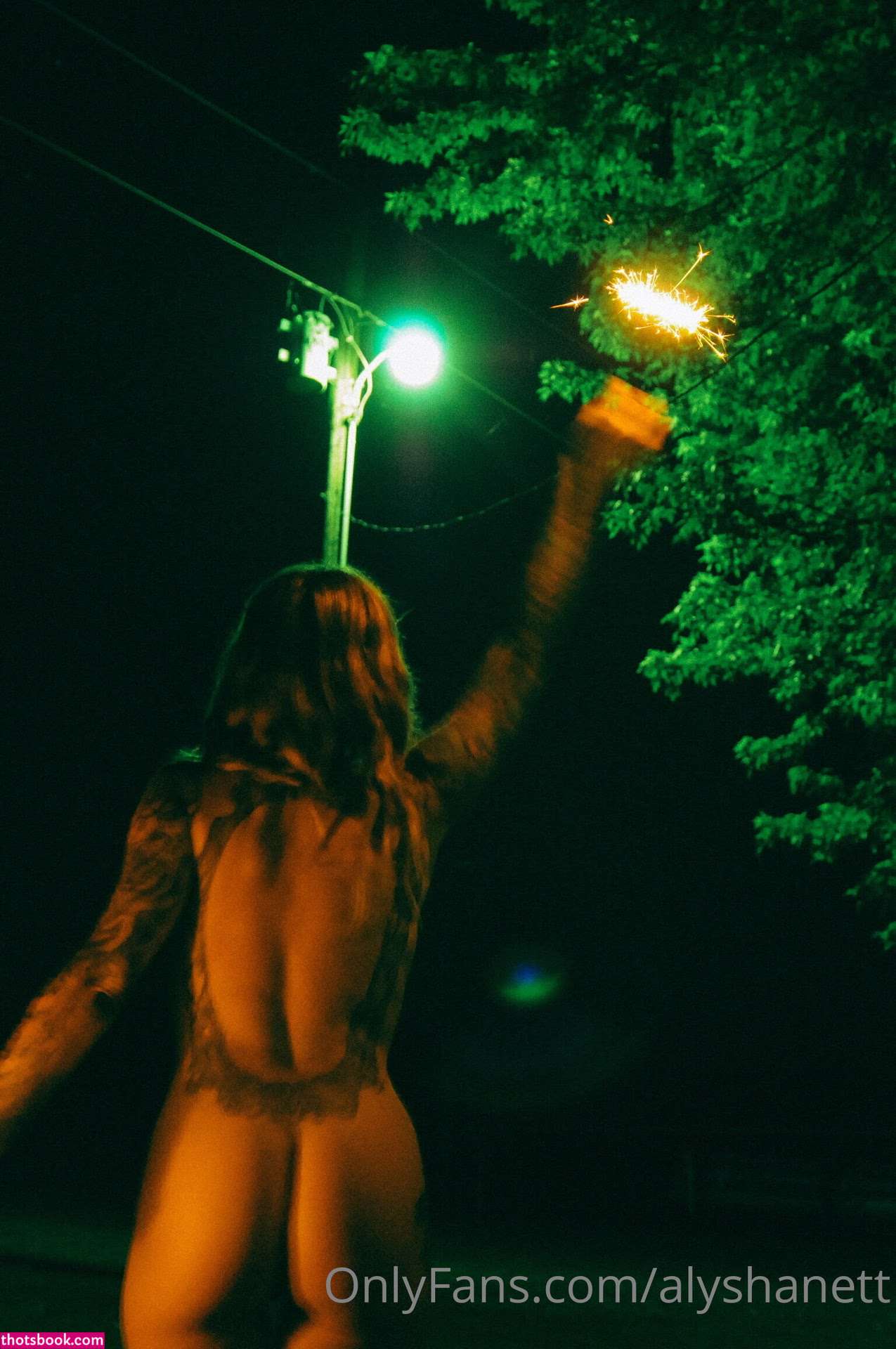 Alysha Nett Nude OnlyFans Photos #17 1086309