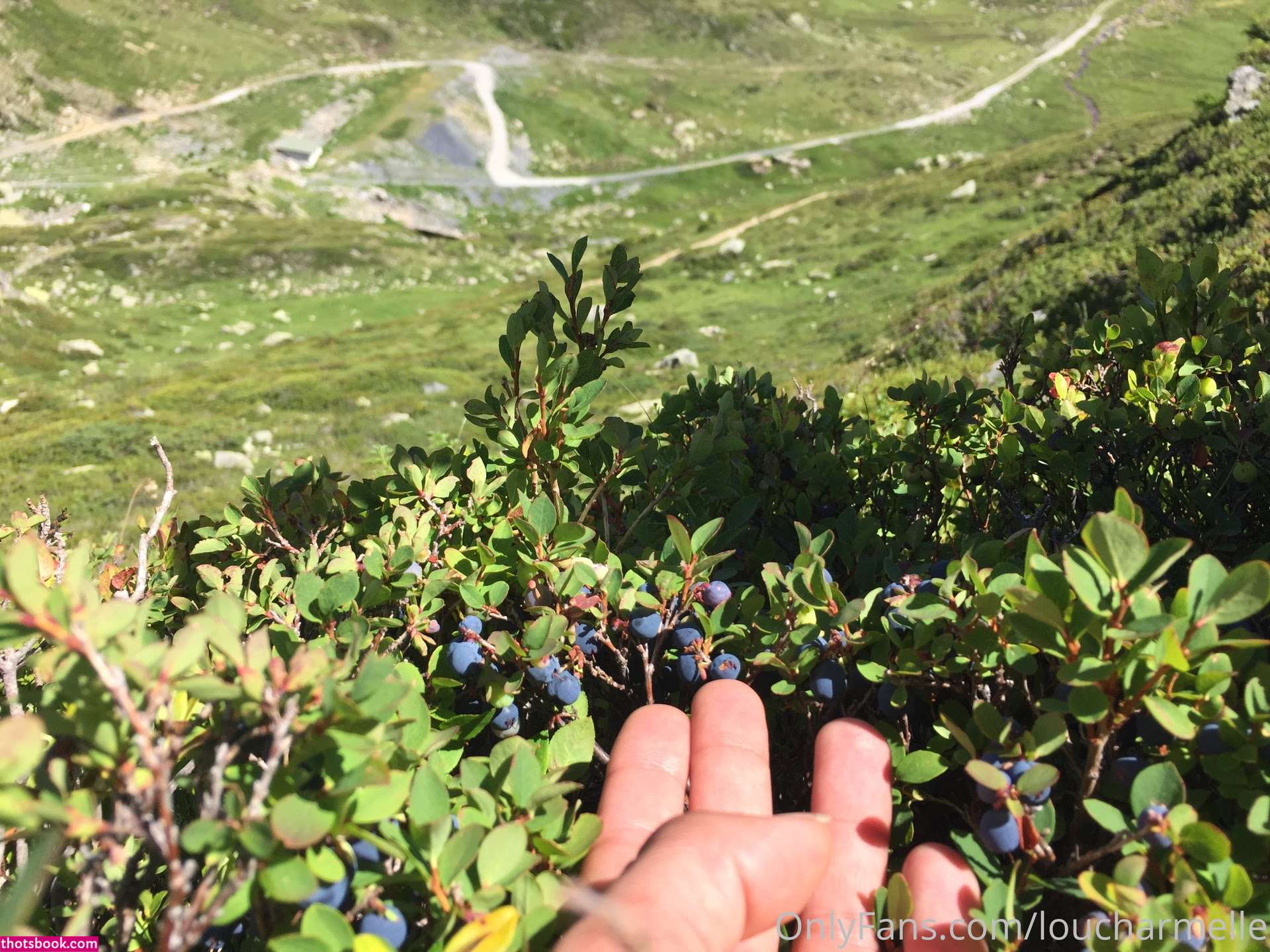 Lou charmelle Nude OnlyFans Photos #1 1086782