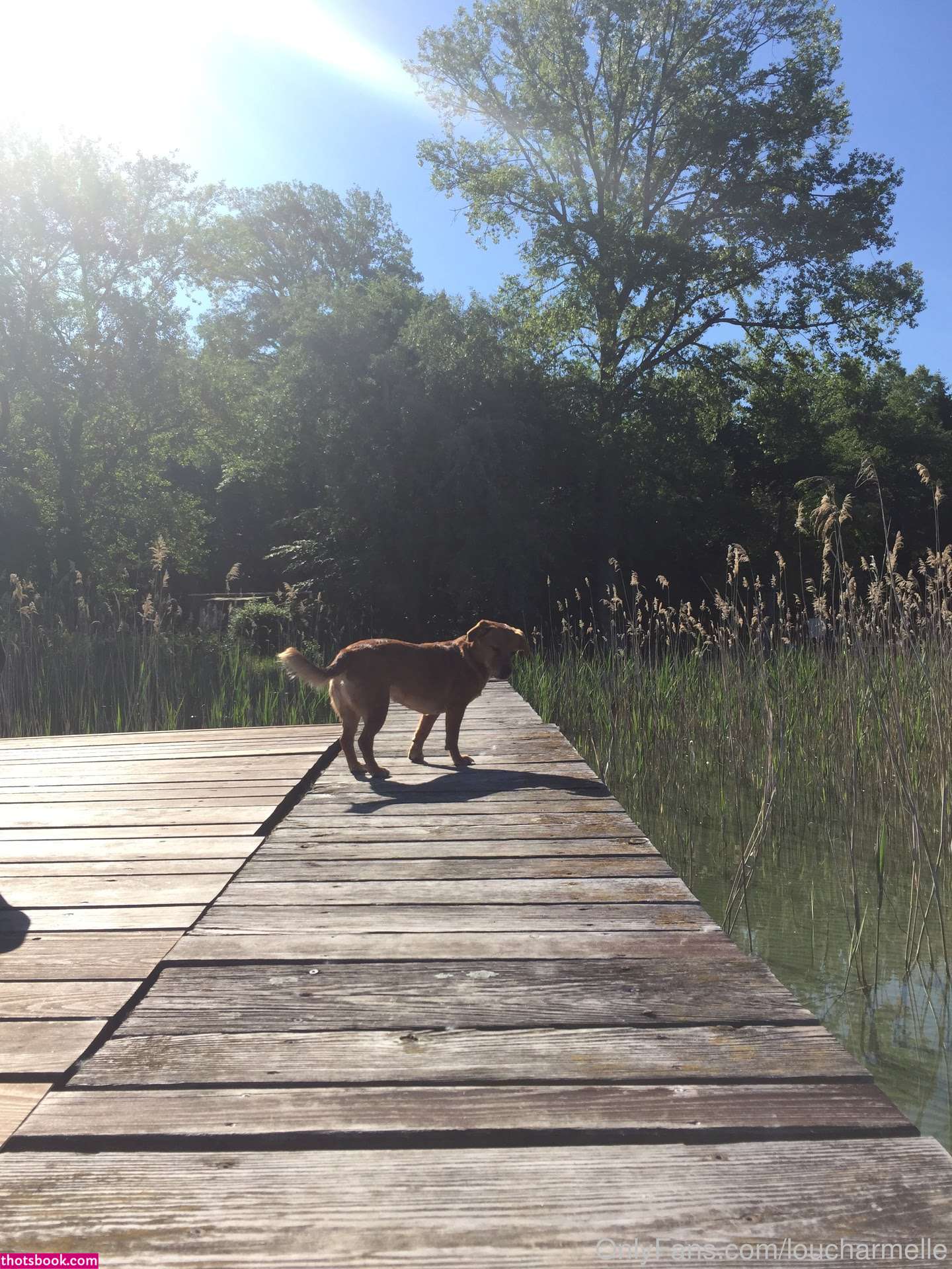 Lou charmelle Nude OnlyFans Photos #9 1088077