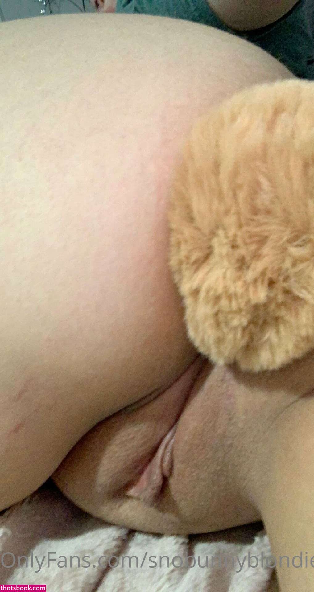 snobunnyblondie Nude OnlyFans Photos #12 1088334