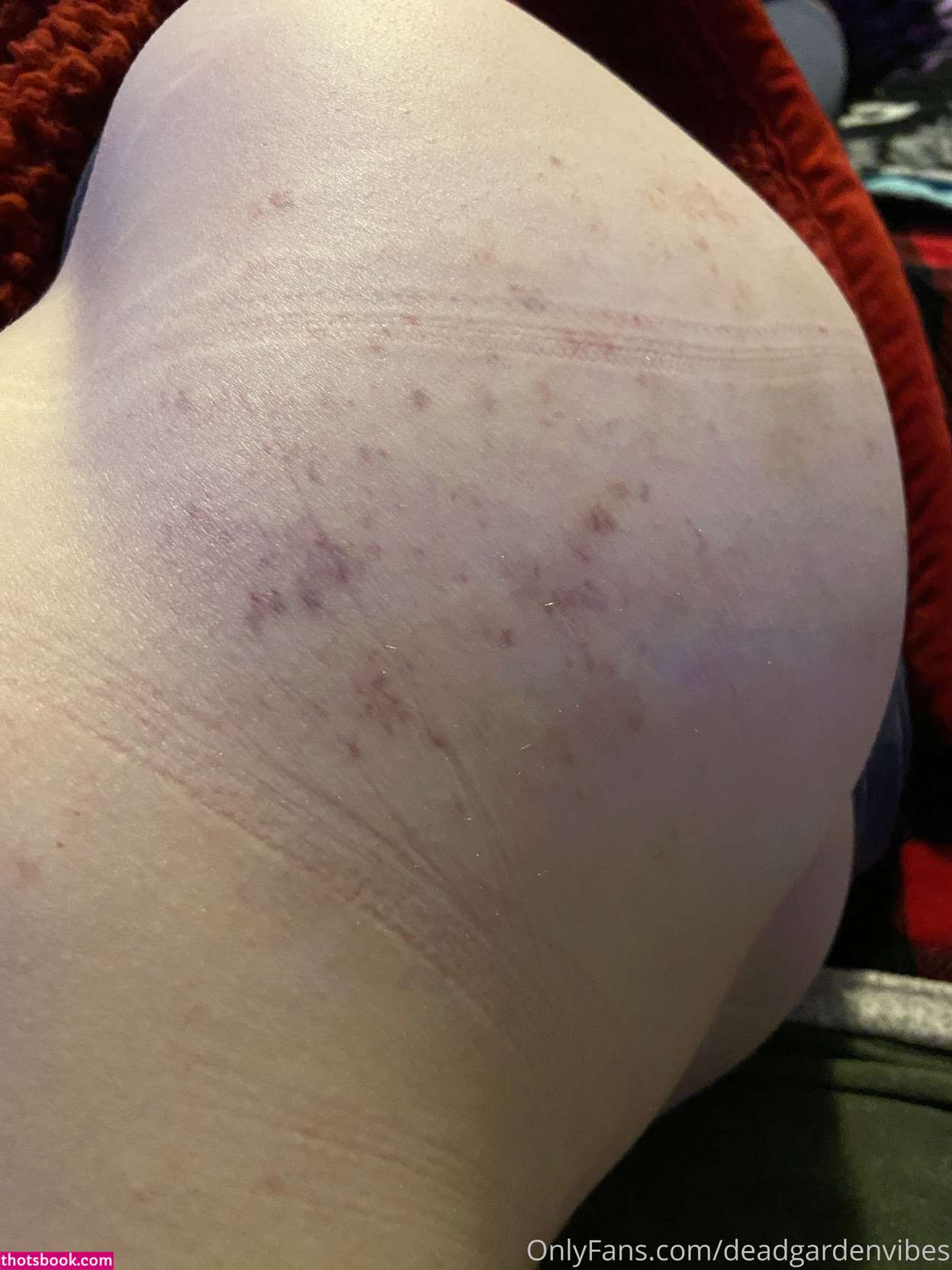 deadgardenvibes Nude Leaks OnlyFans Photos #5 1772043