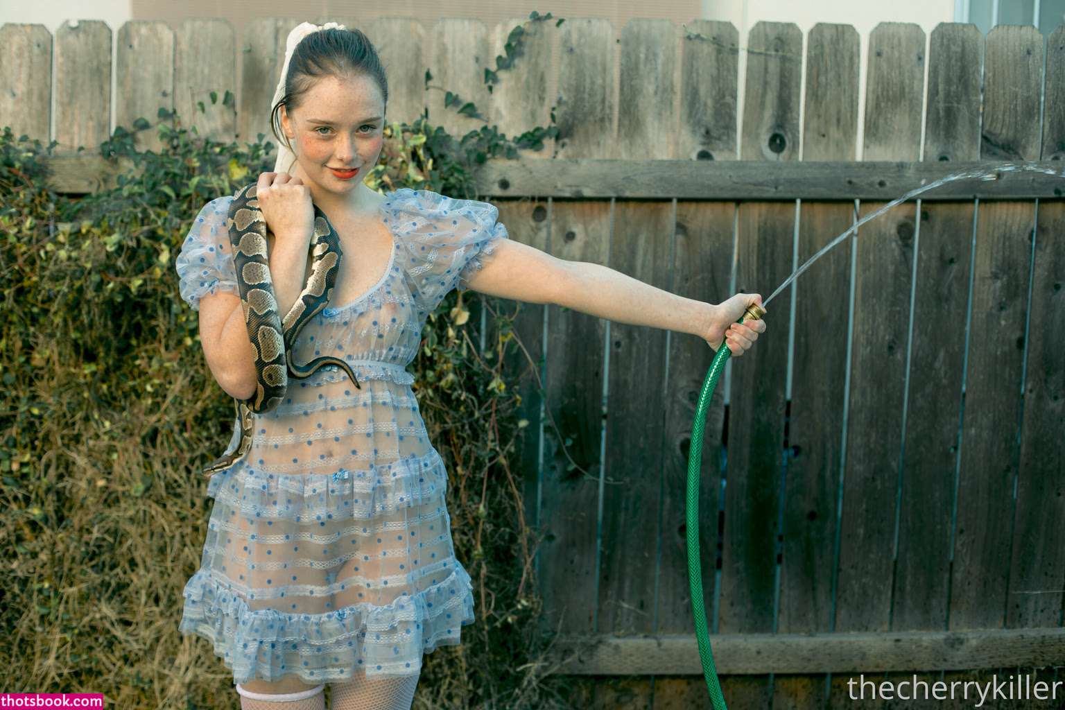 thestrawberrybutcher SuzieSon charlieisomething Nude Leaks OnlyFans Photos #2 1741530