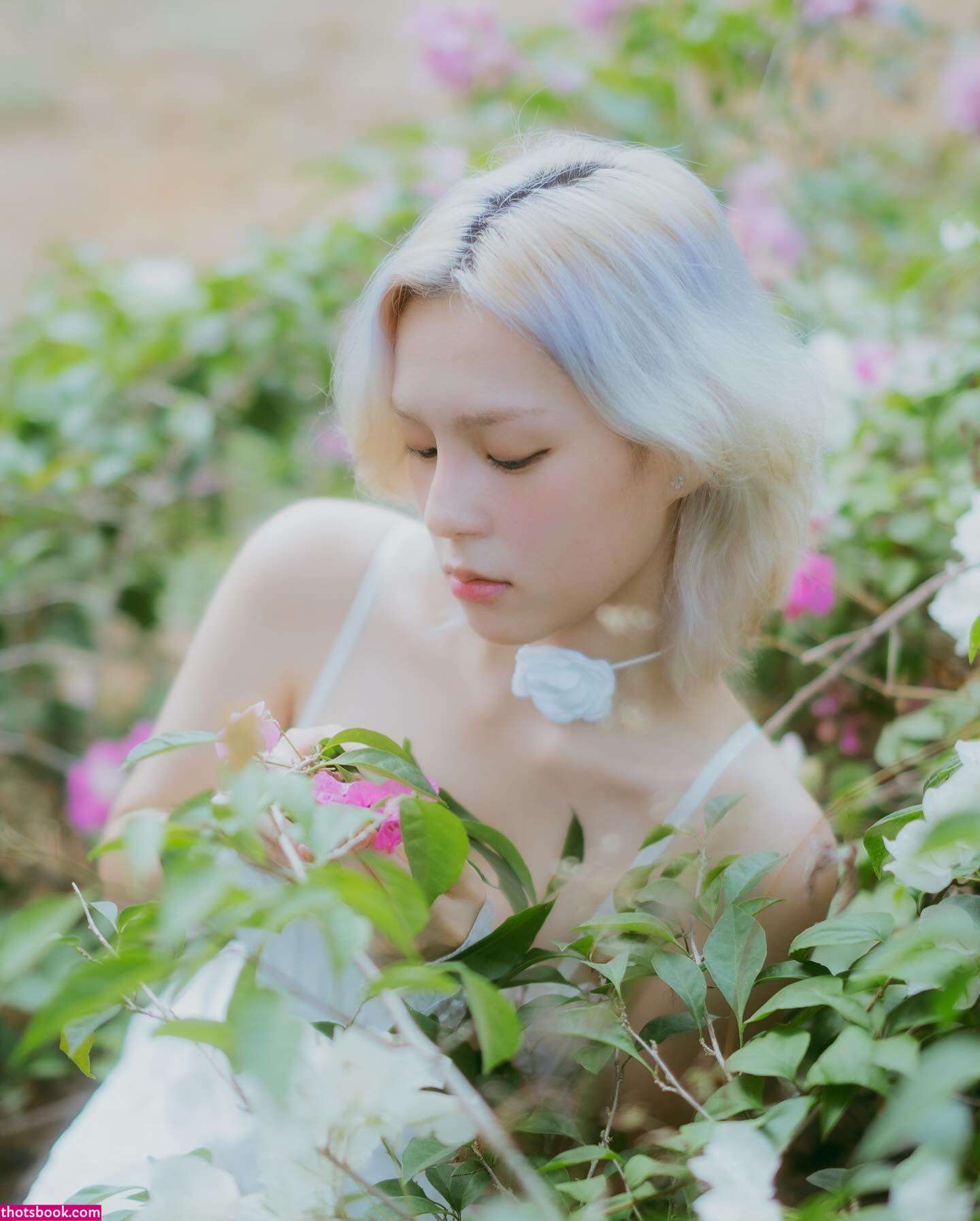 asiayoona Nude Leaks OnlyFans Photos #1 1749443